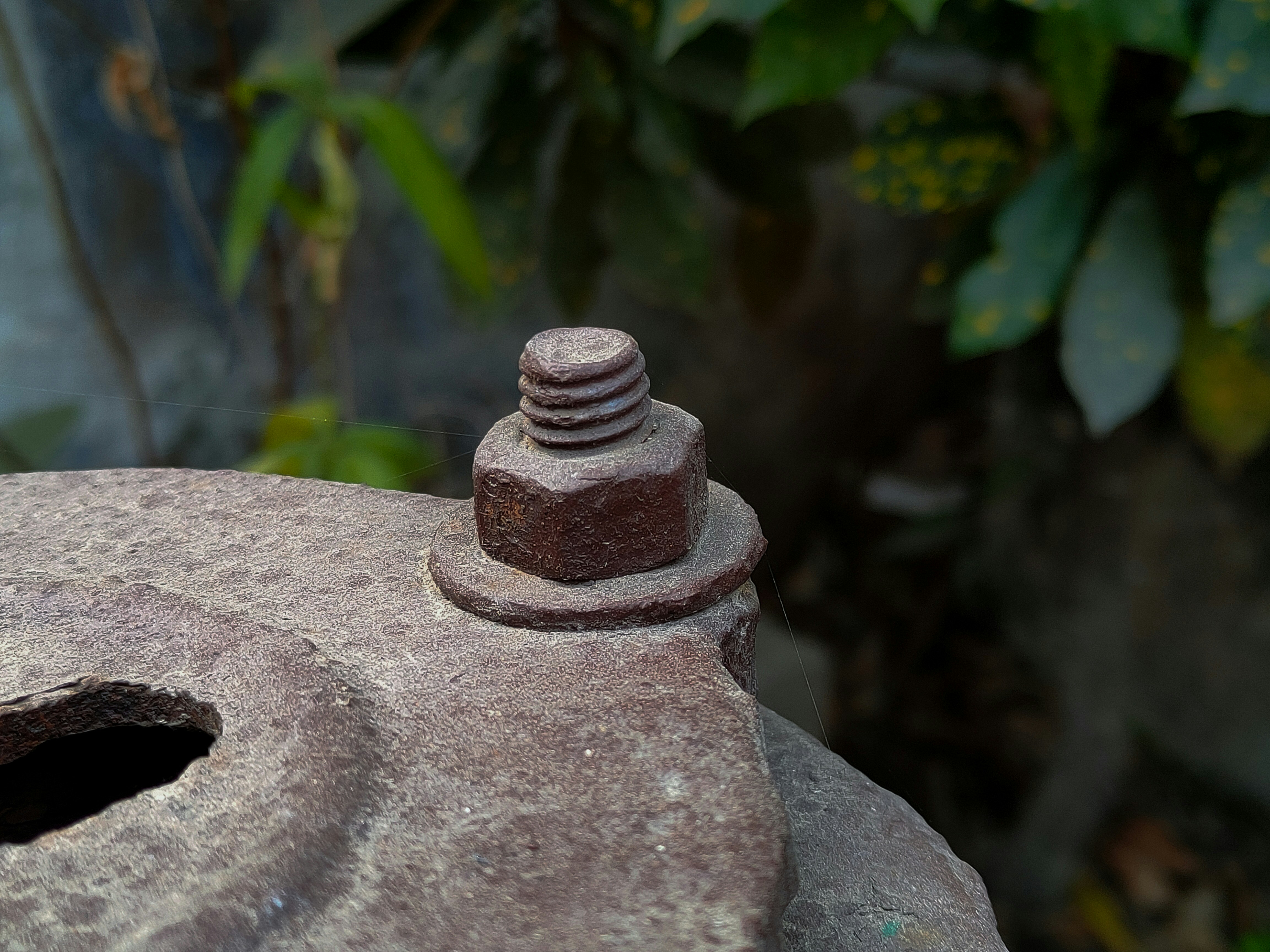 Photo by sujaypaulsp