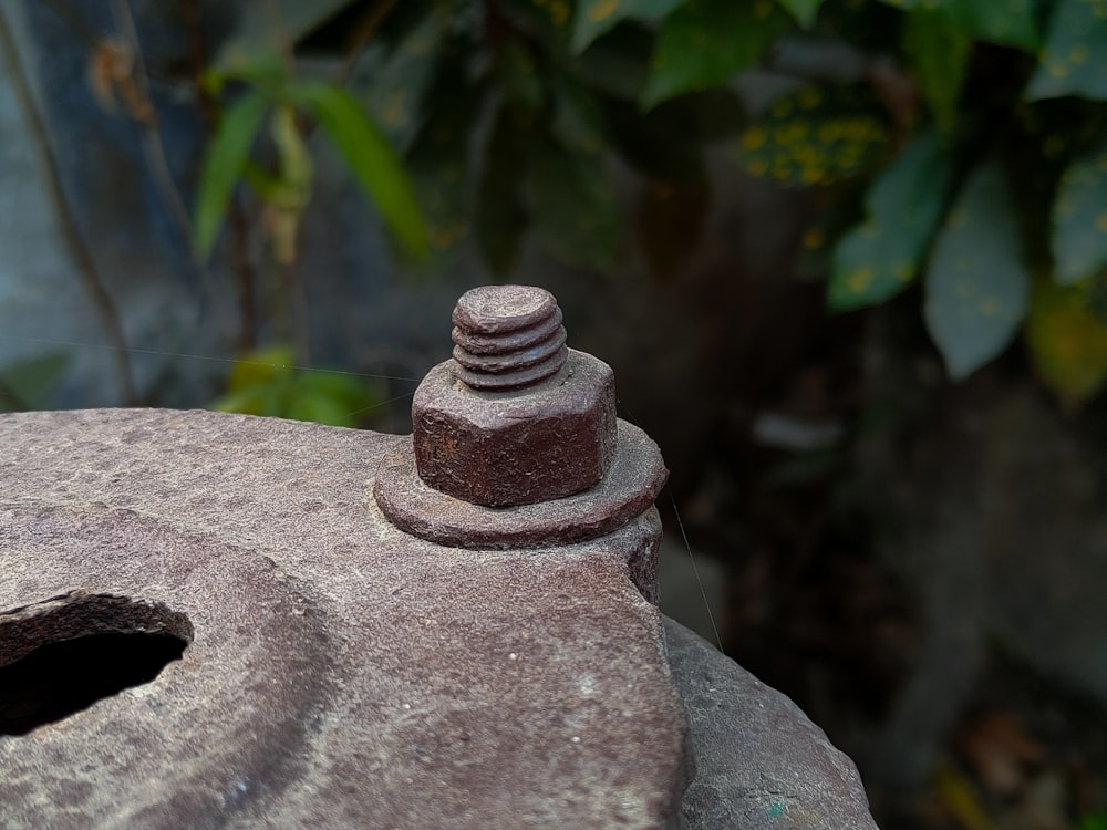 a close up of a rock with a small object on top of it