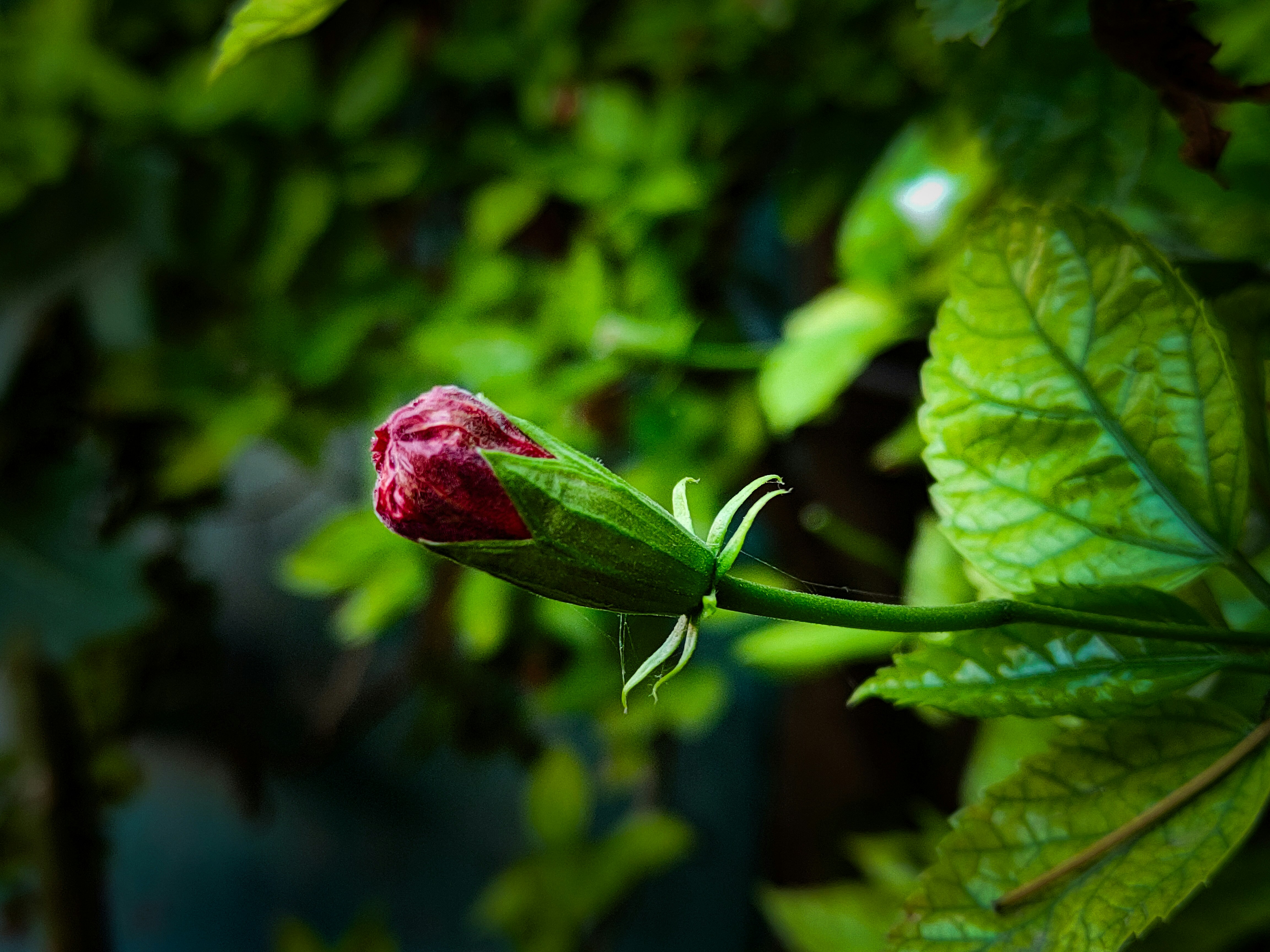 Photo by sujaypaulsp