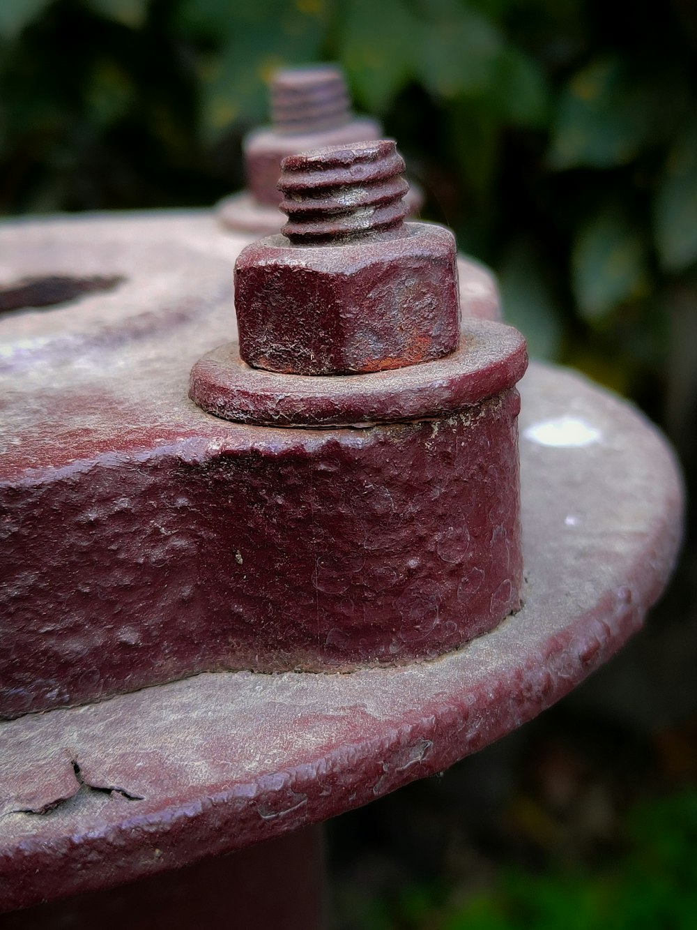 a close up of a red fire hydrant