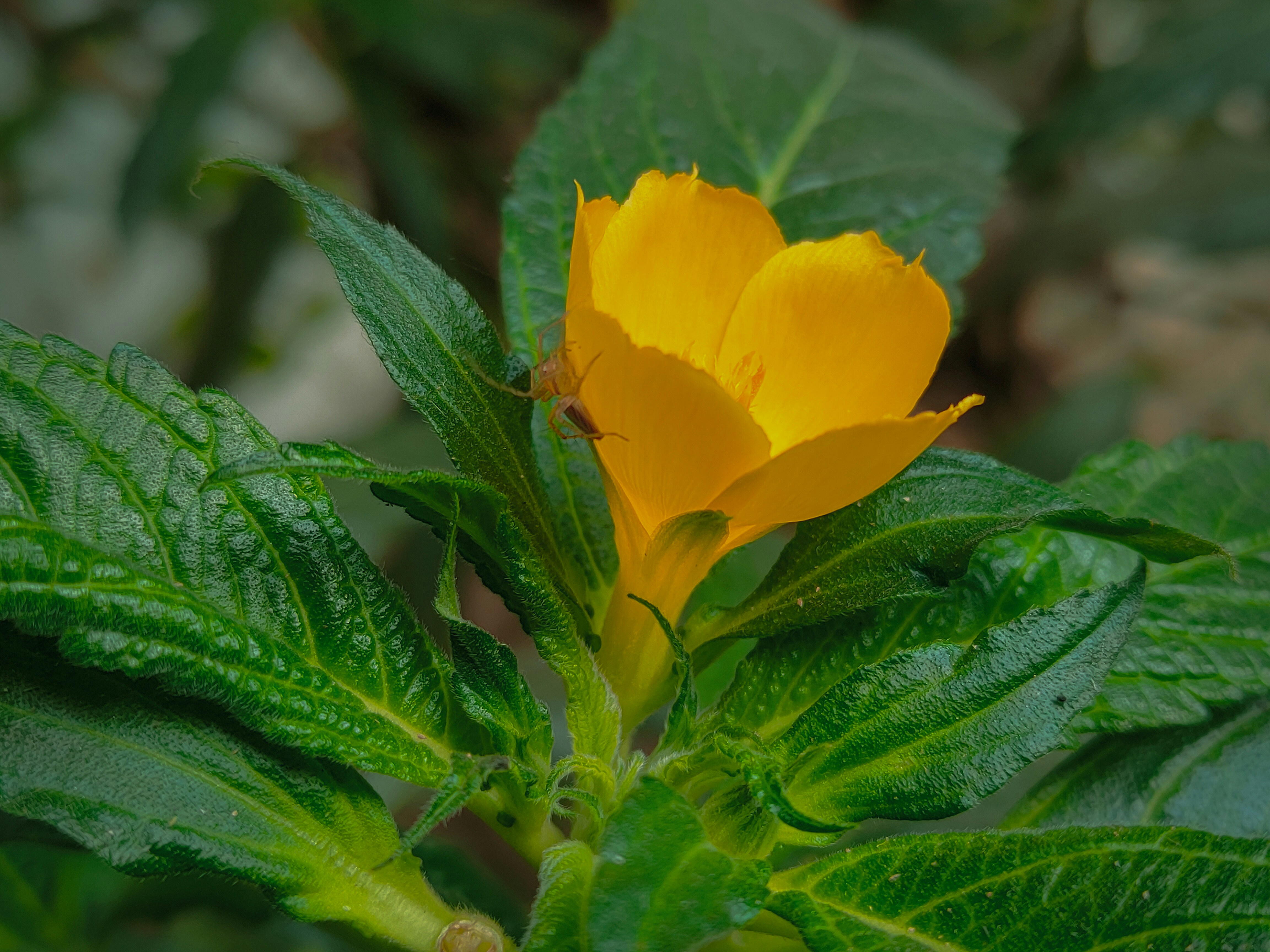 Photo by sujaypaulsp