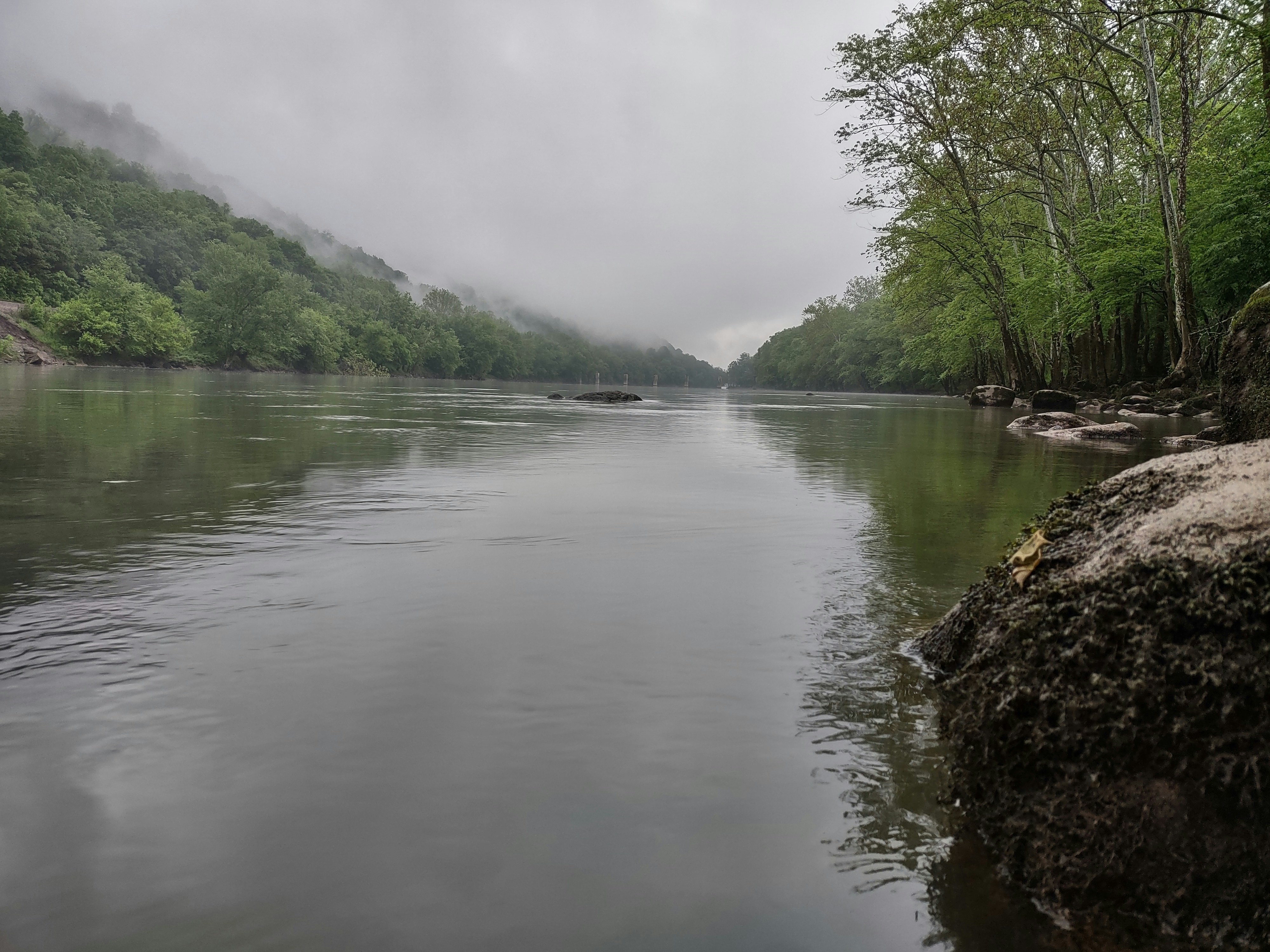 How Did New River Habitats Respond to Hurricane Helene