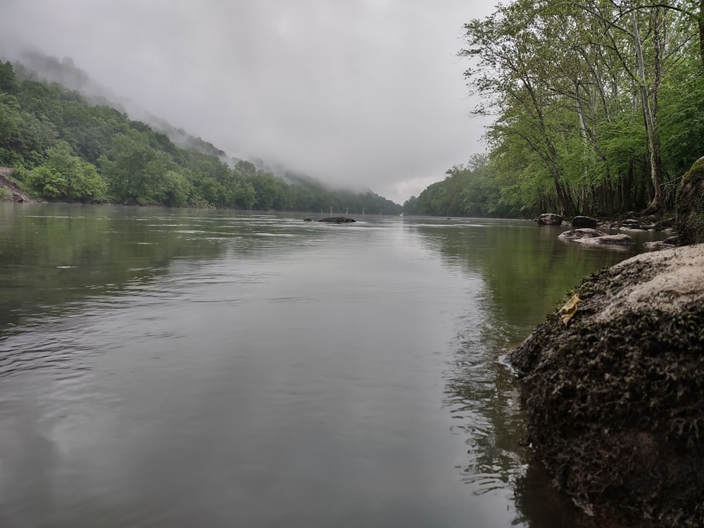 a body of water surrounded by trees on a cloudy day