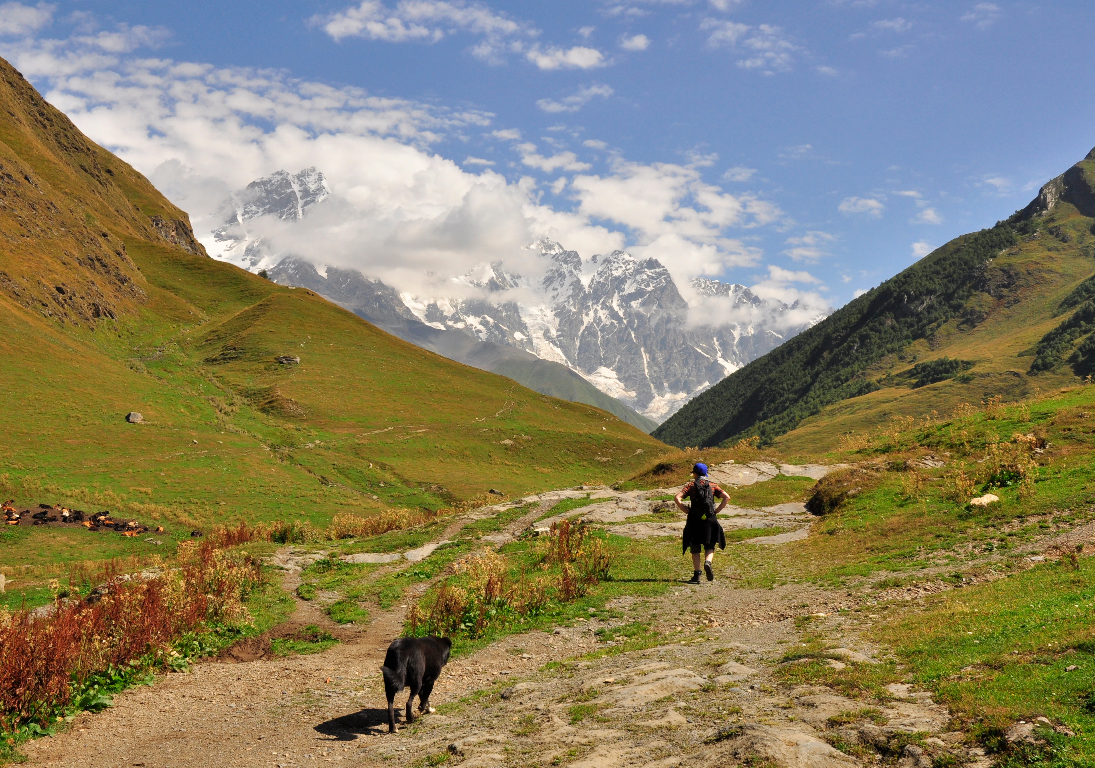 A walker on a valley track near Ushguli in Svaneti, Georgia, with a dog following behind and snow-capped Caucasus peaks beyond
