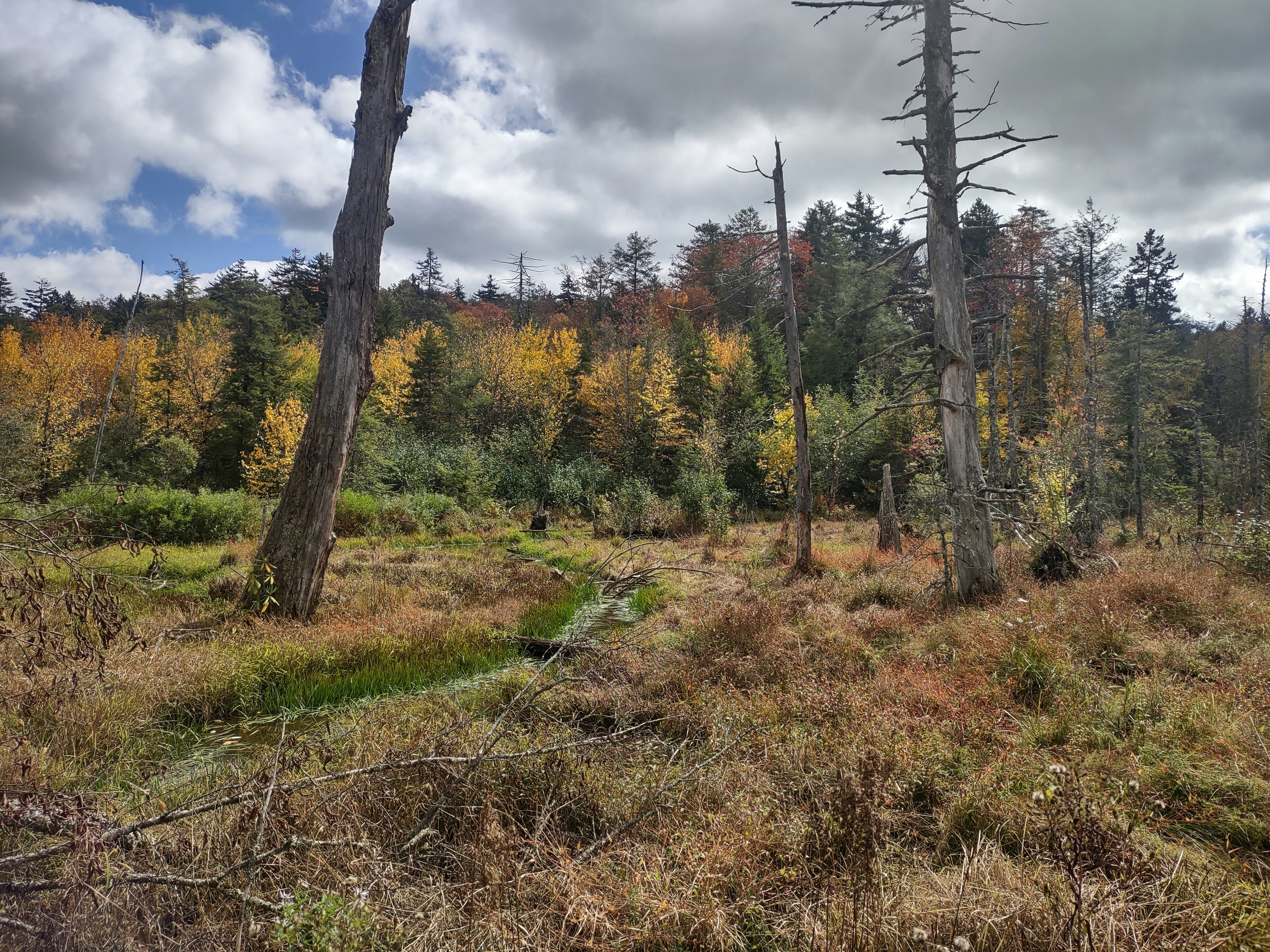 Photo by jaxstarke99