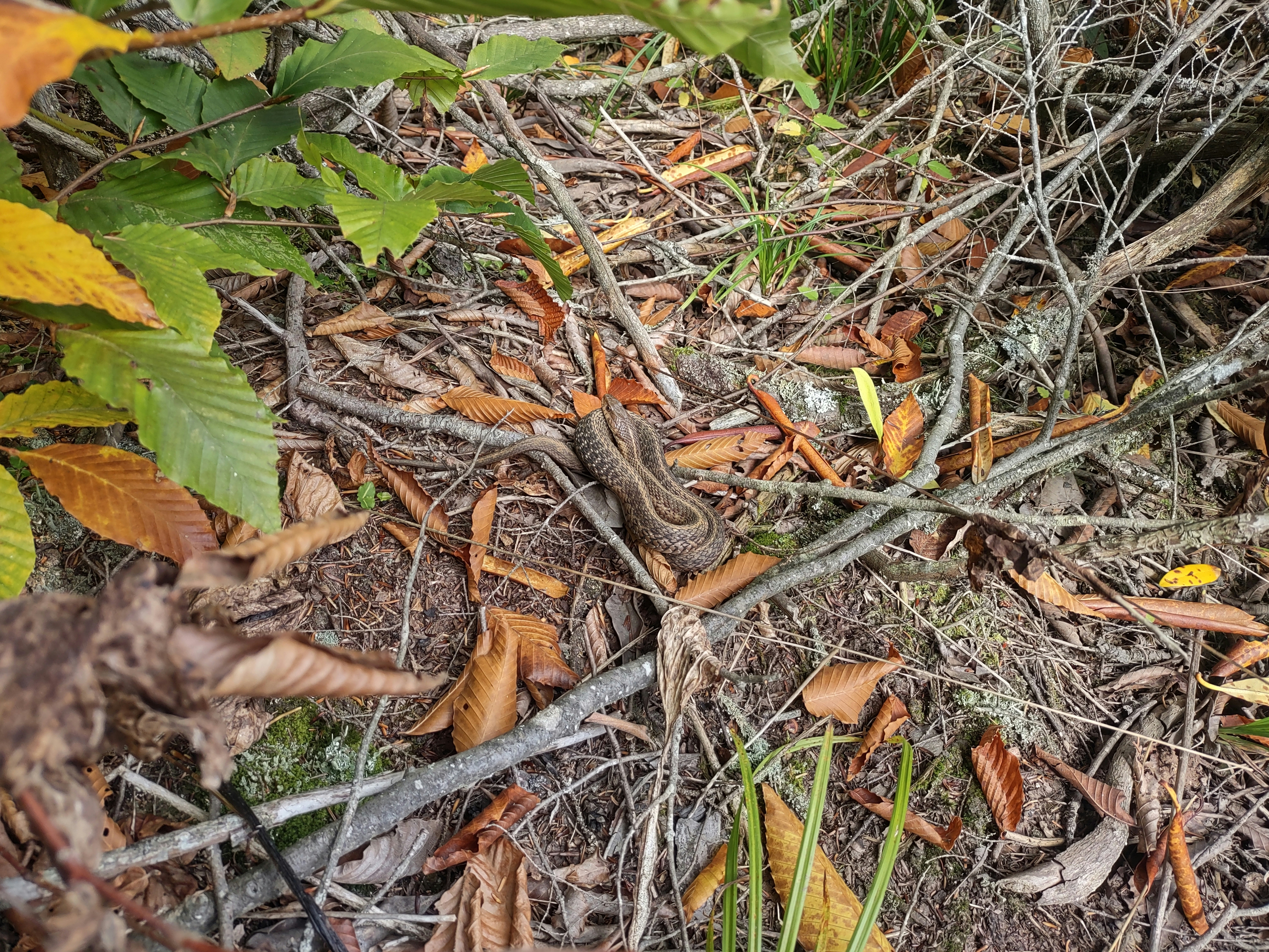 Photo by jaxstarke99