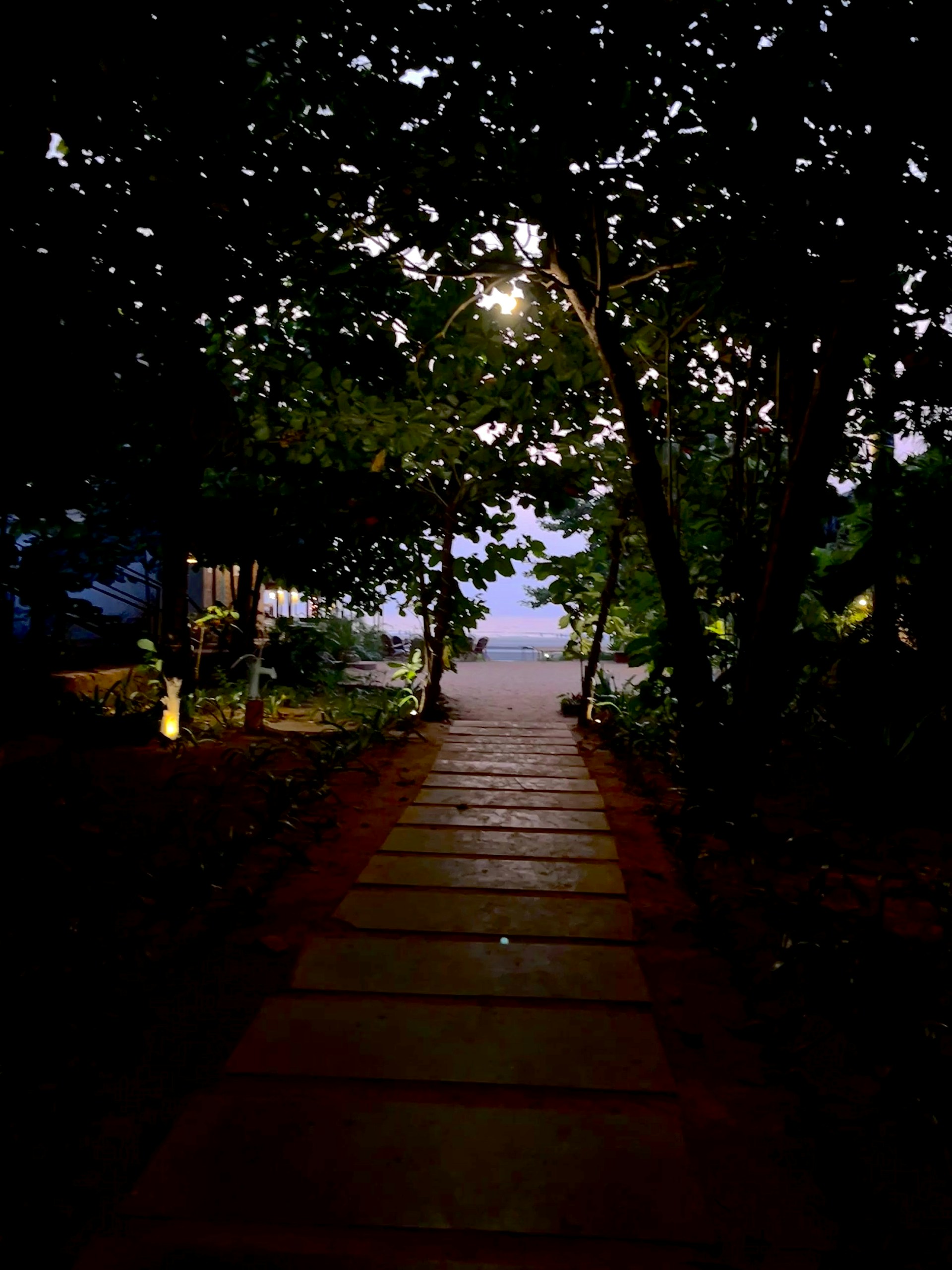 a pathway leading to a beach at night