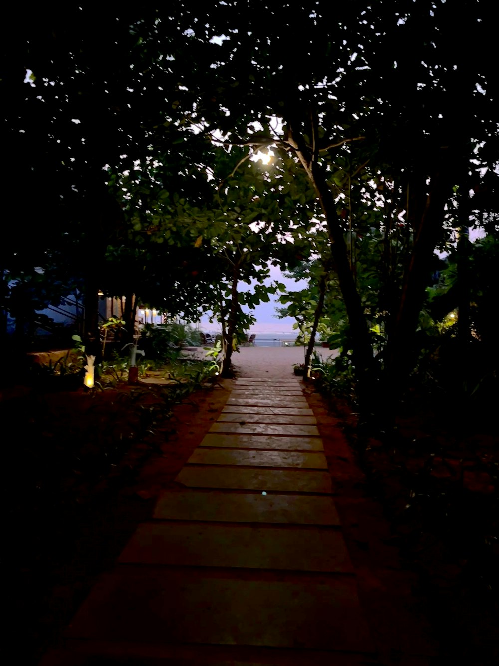 Un camino que conduce a una playa por la noche