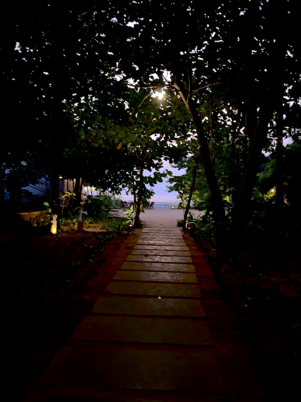 a pathway leading to a beach at night