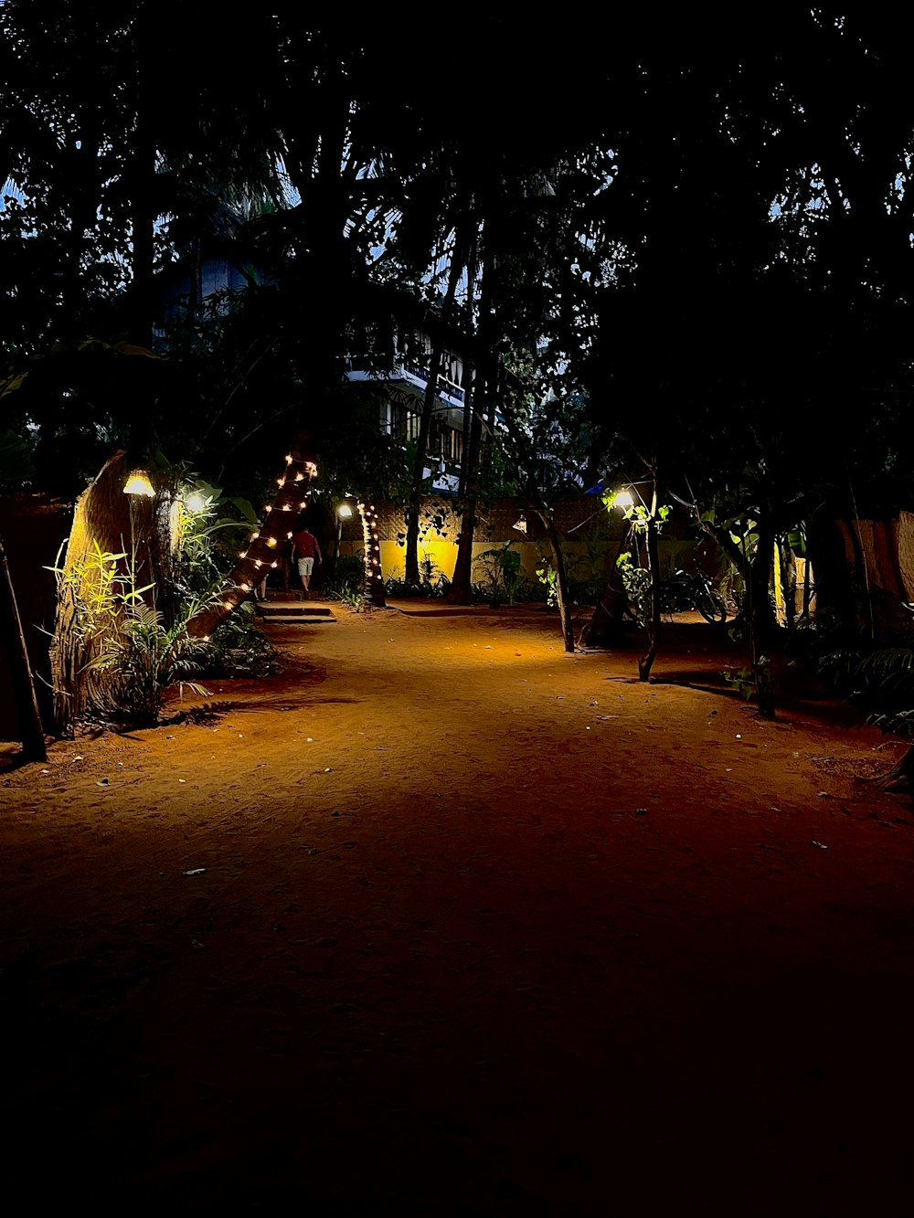 a pathway lit up with lights at night