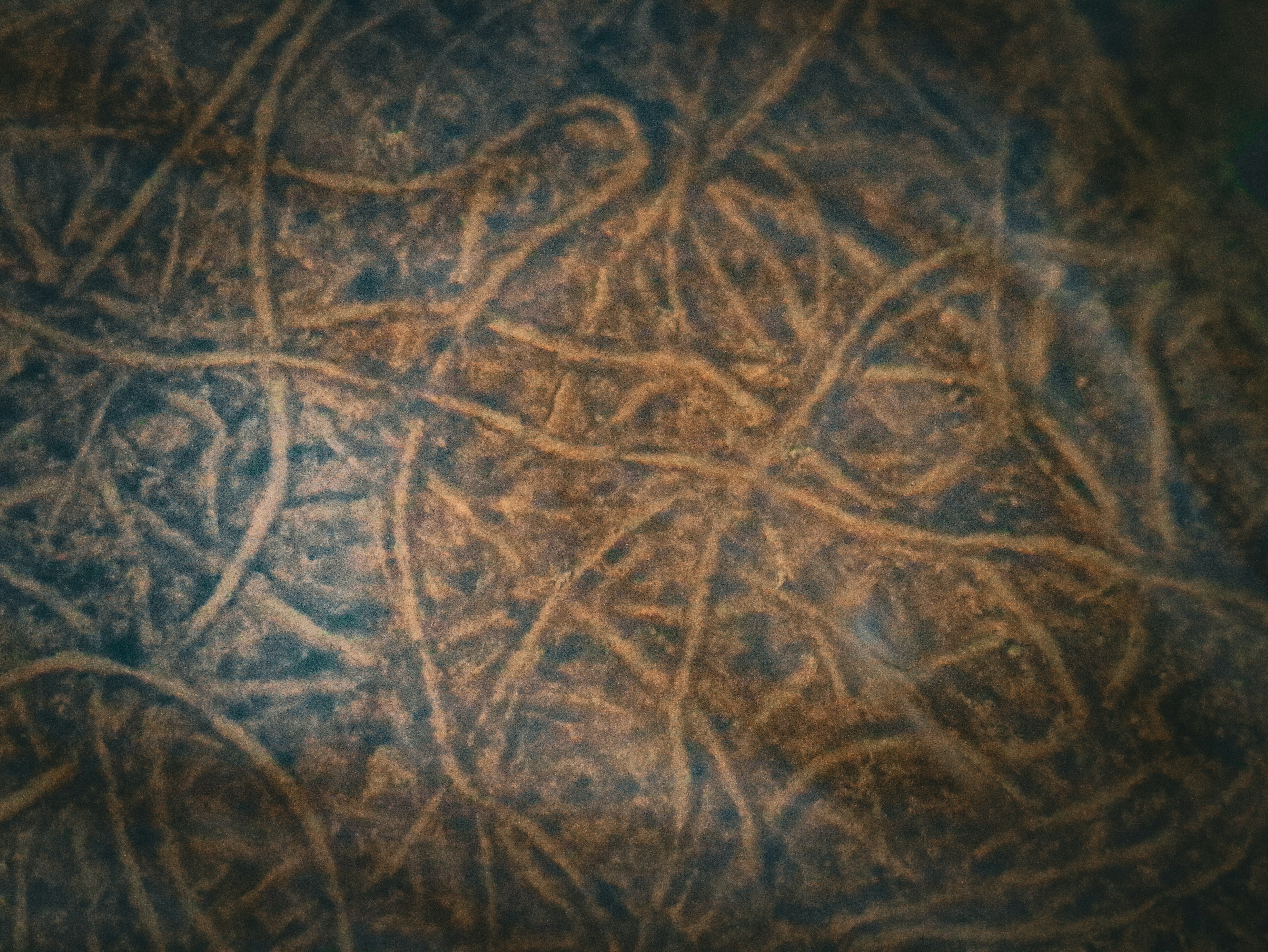 a close up of a pattern on a surface