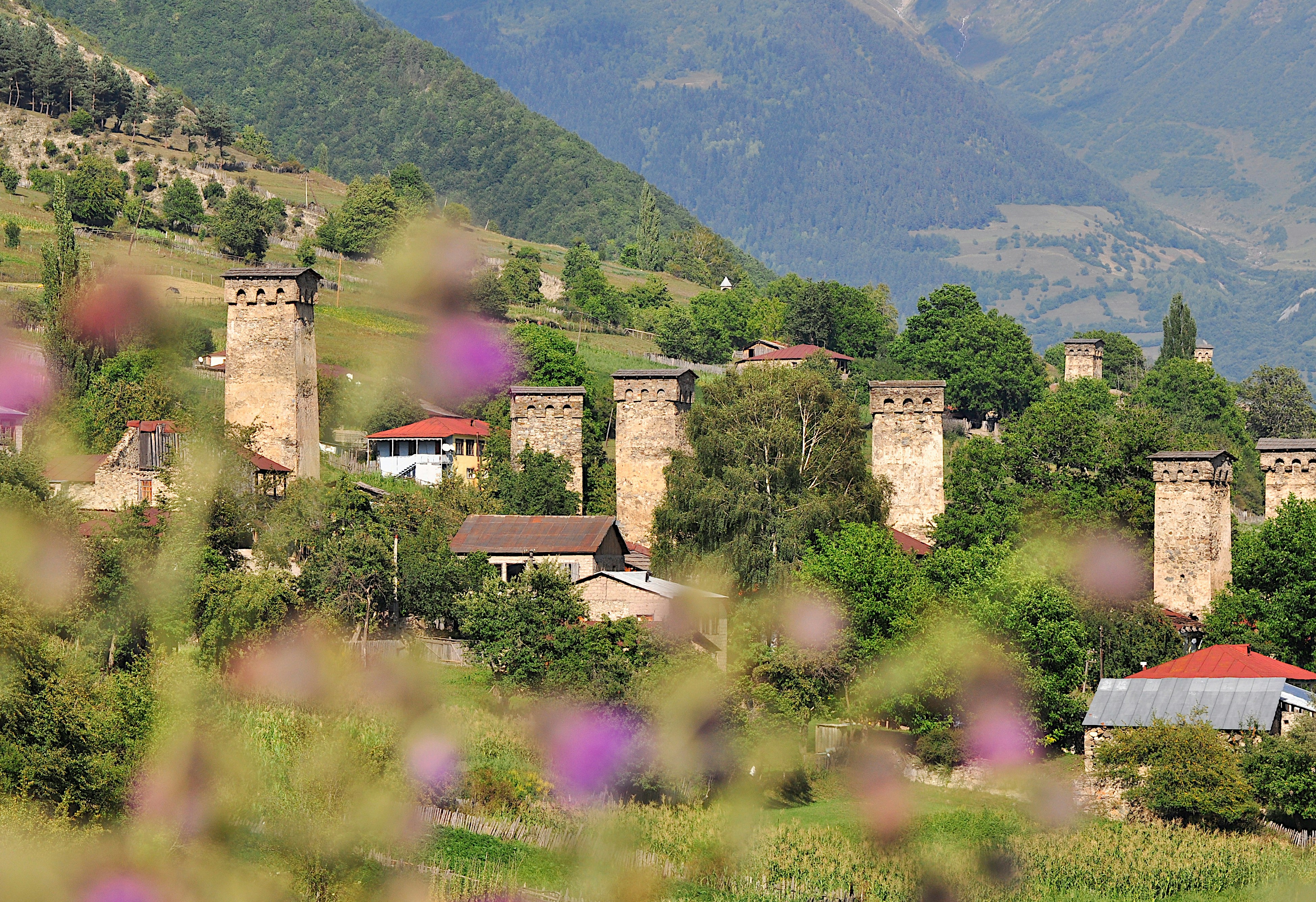 a view of a village with mountains in the background