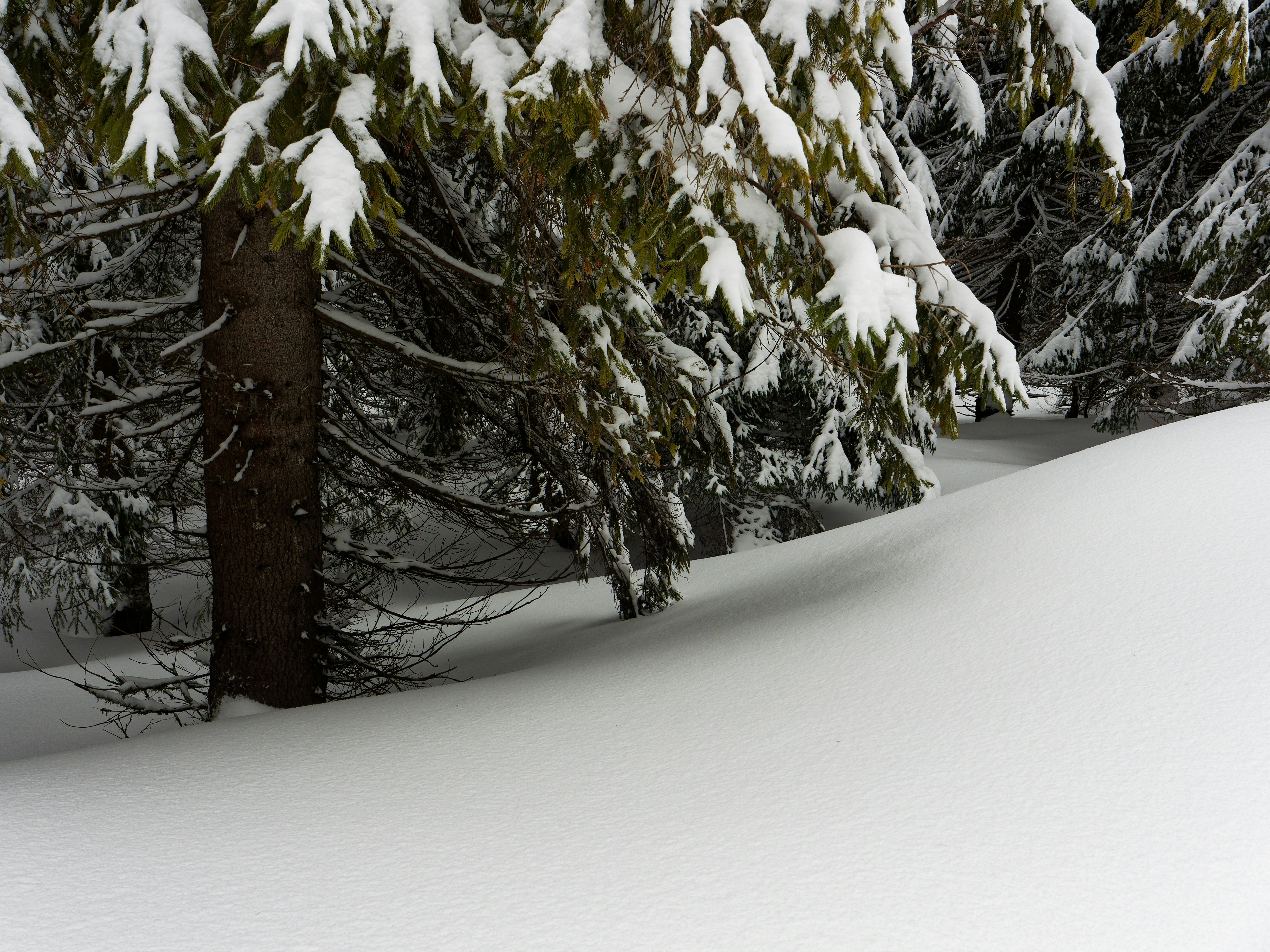 Photo by illes_cristi