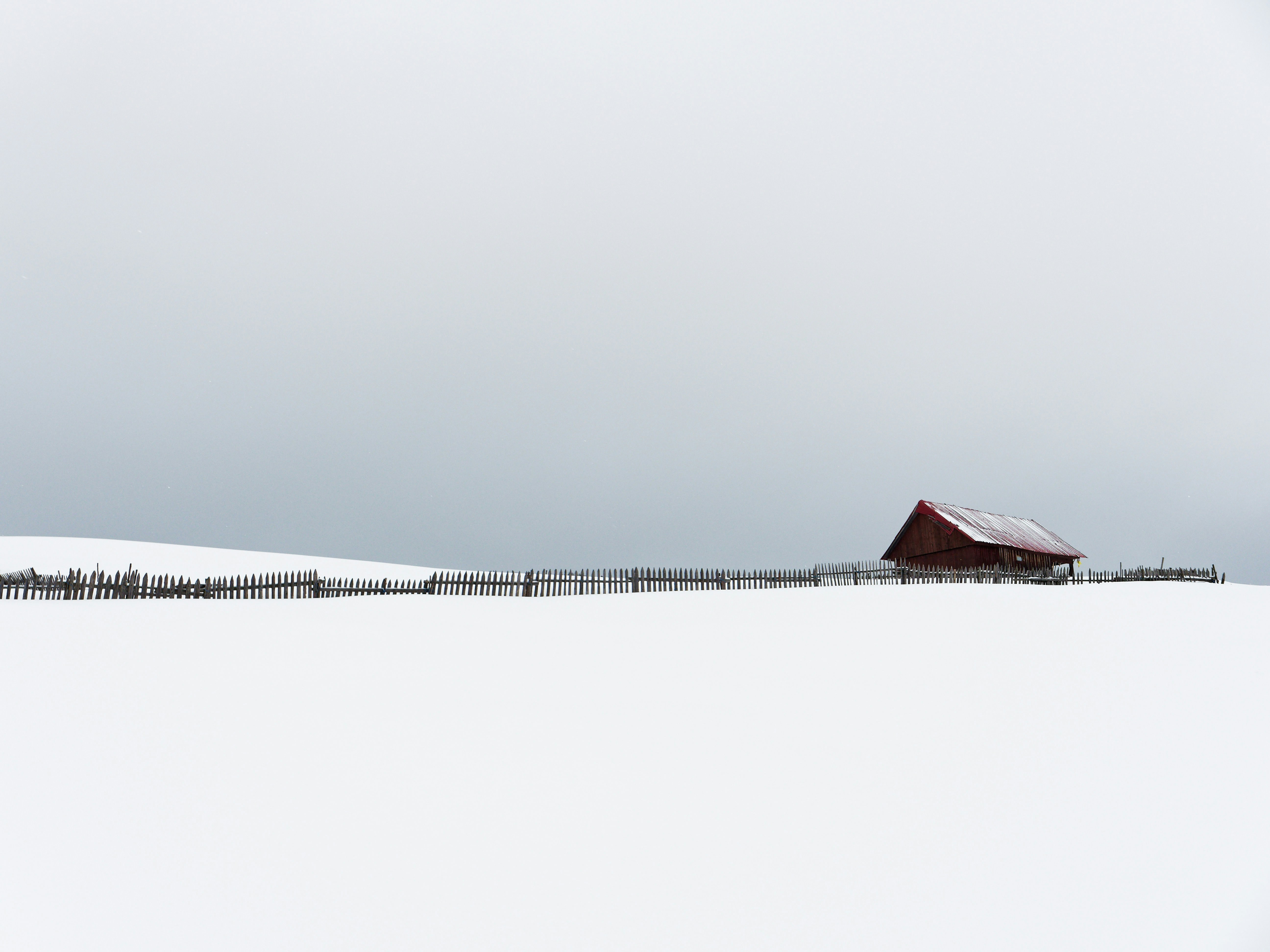 Photo by illes_cristi