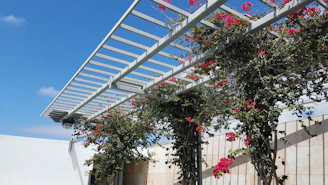 a pergolated area with pink flowers on it