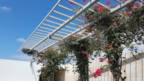 a pergolated area with pink flowers on it