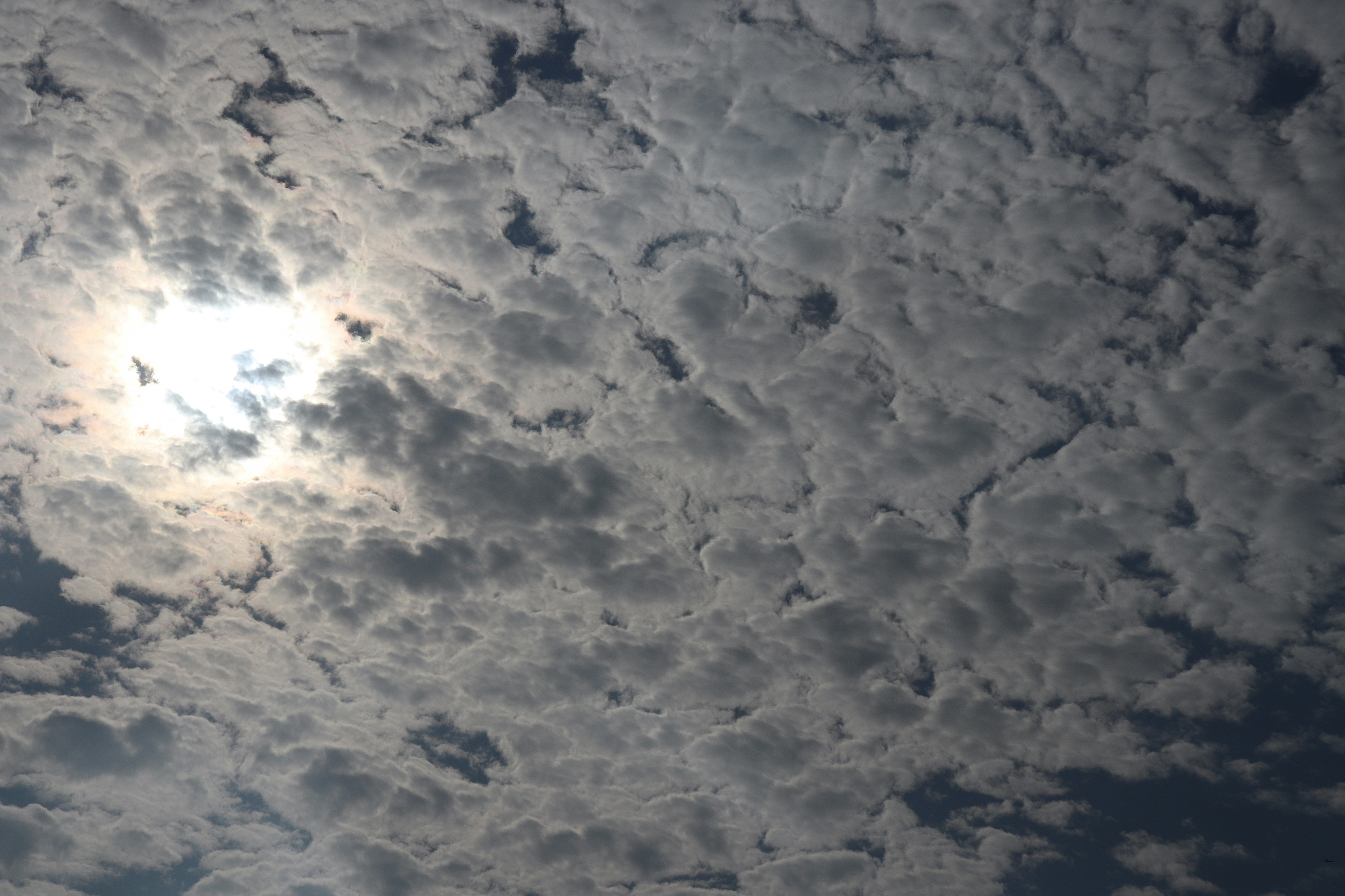 Photo by elee_334105