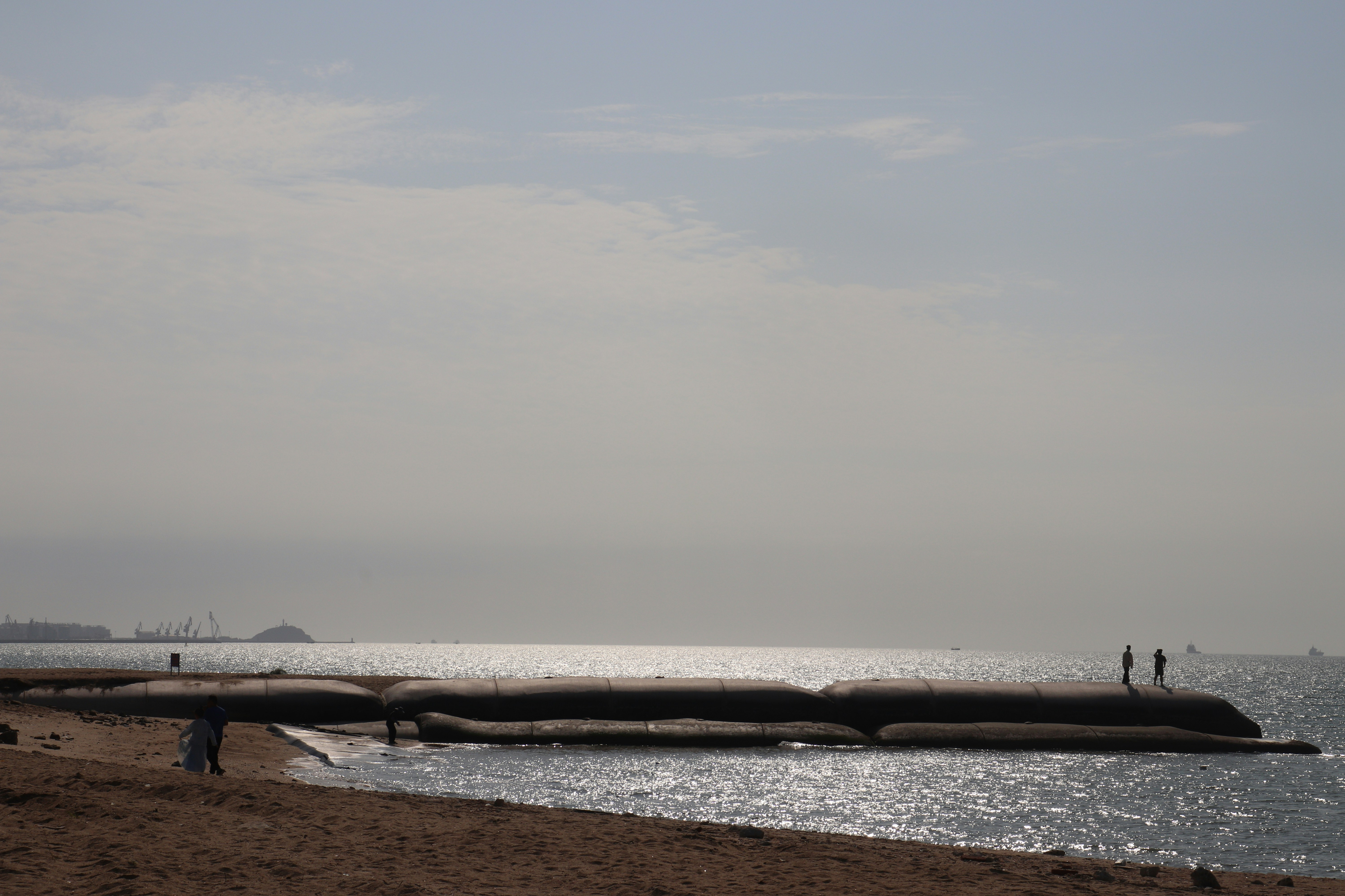 Photo by elee_334105