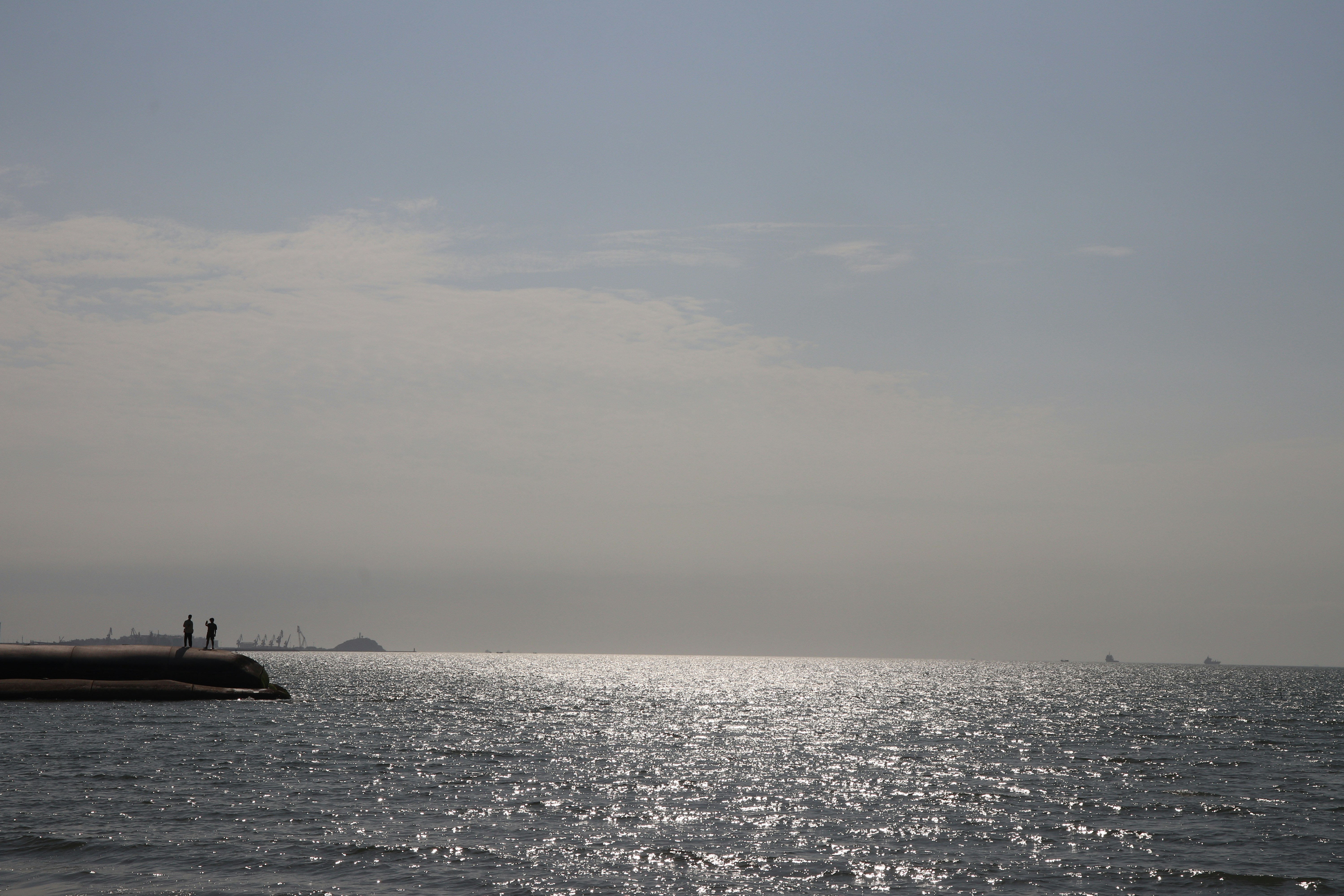 Photo by elee_334105