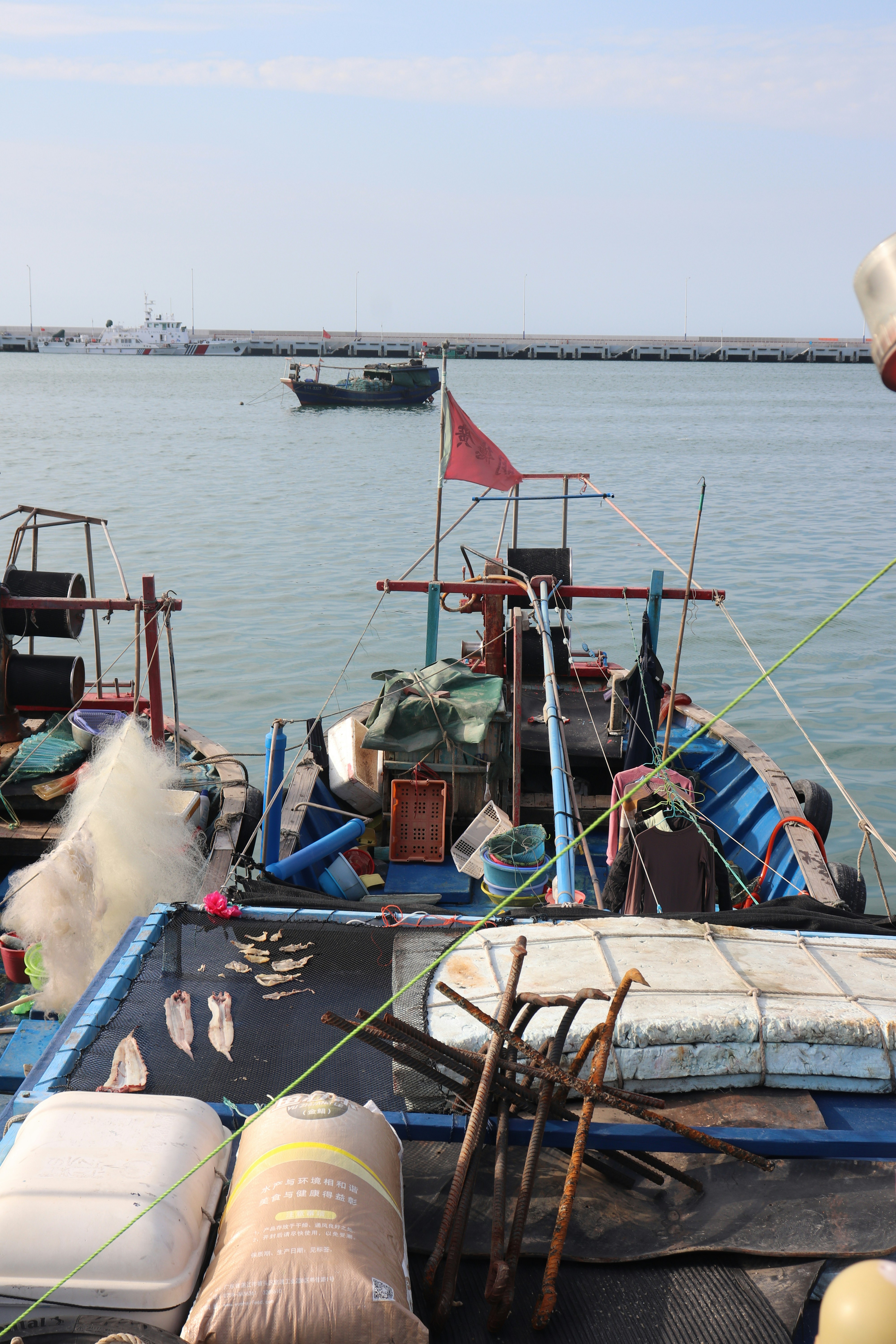 Photo by elee_334105