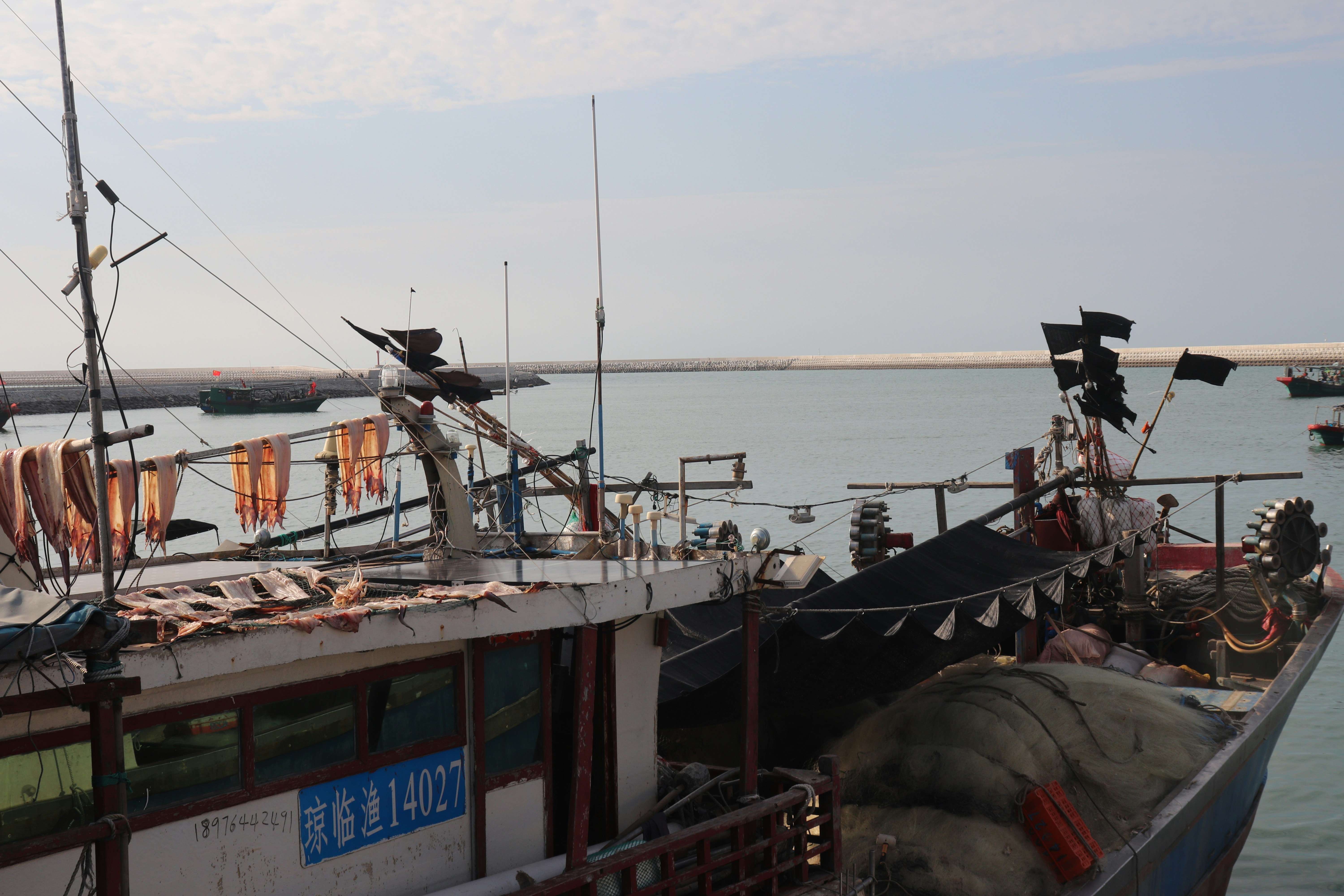 Photo by elee_334105