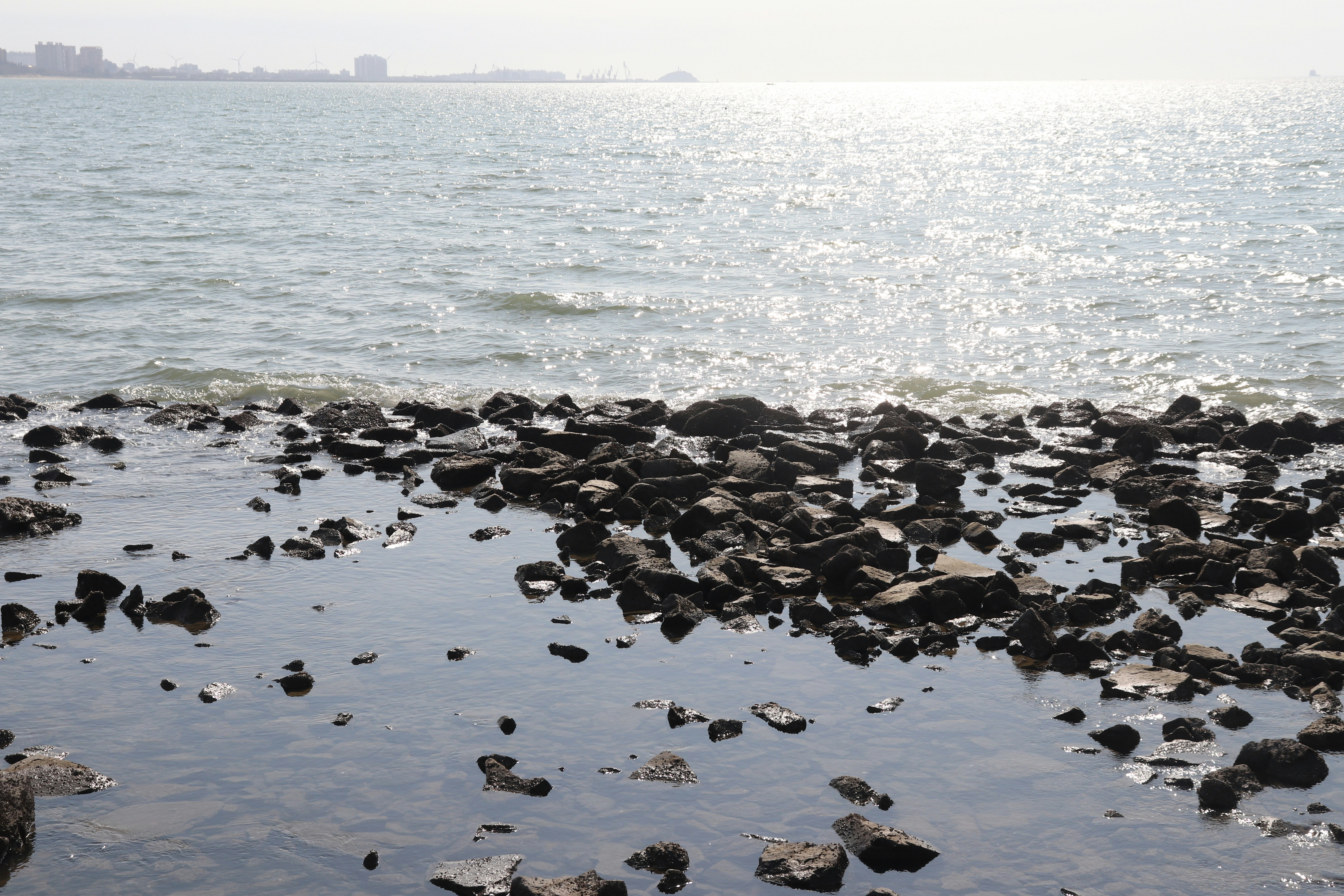 Photo by elee_334105