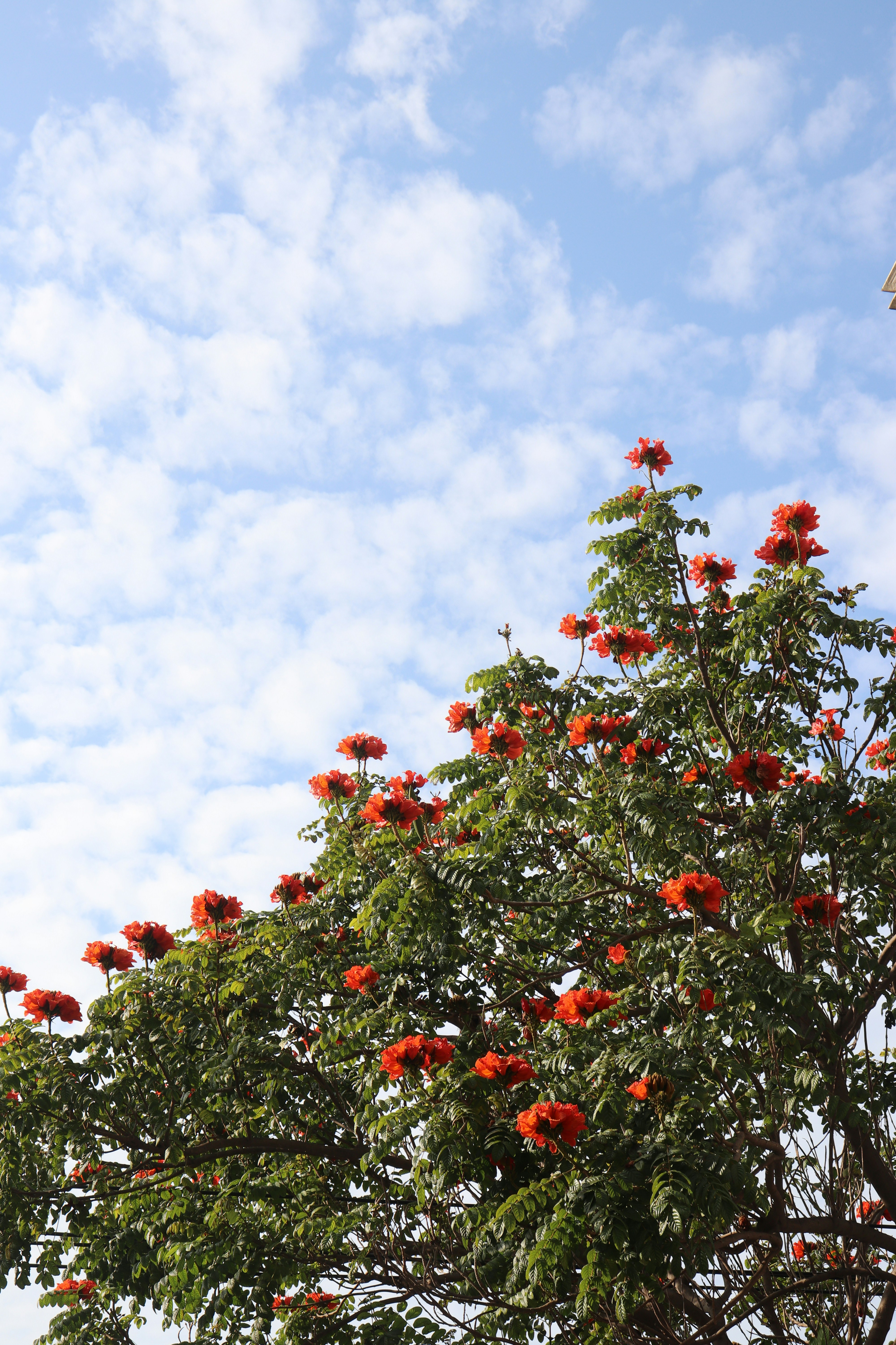 Photo by elee_334105