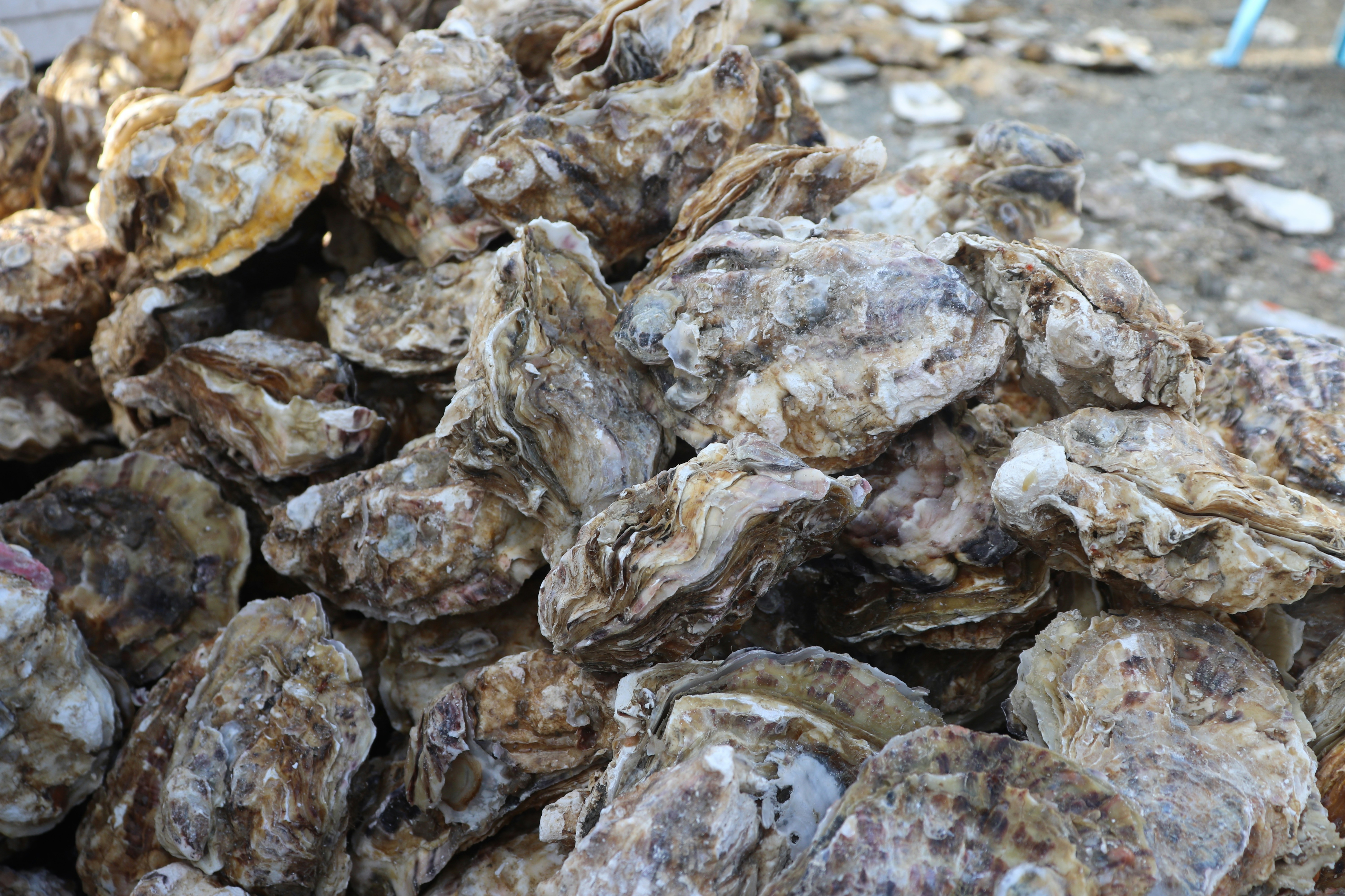 Photo by elee_334105