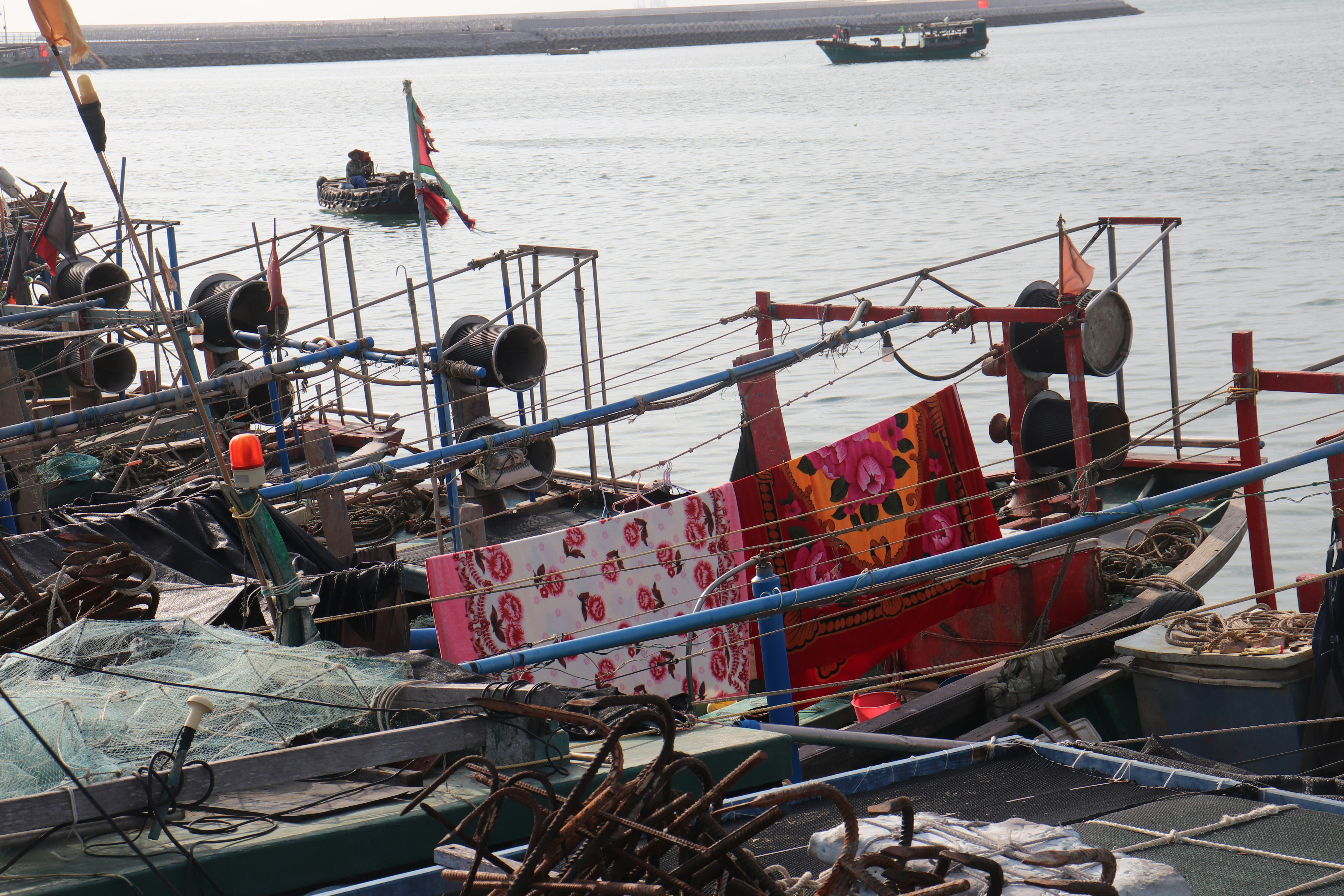 Photo by elee_334105