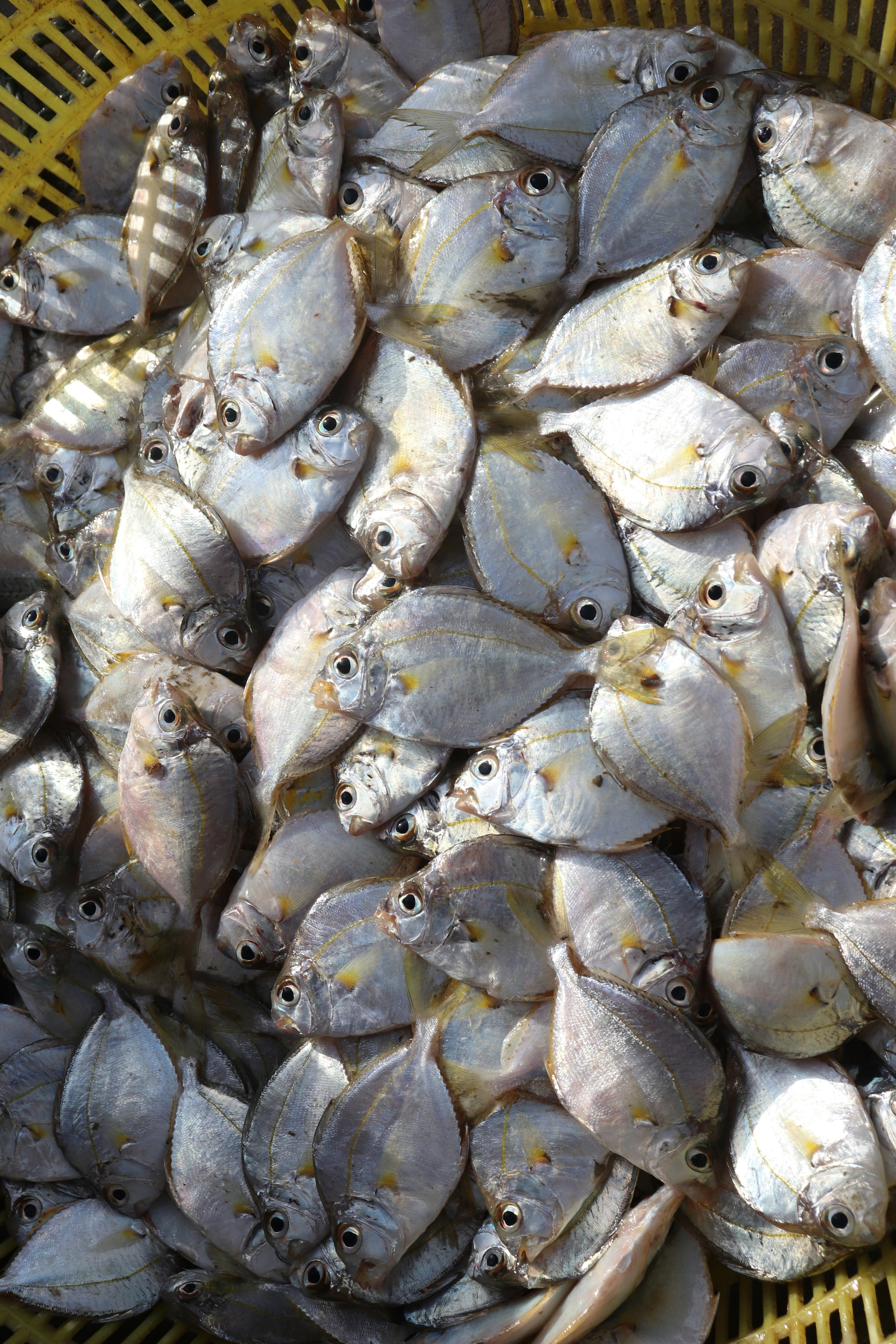 Photo by elee_334105