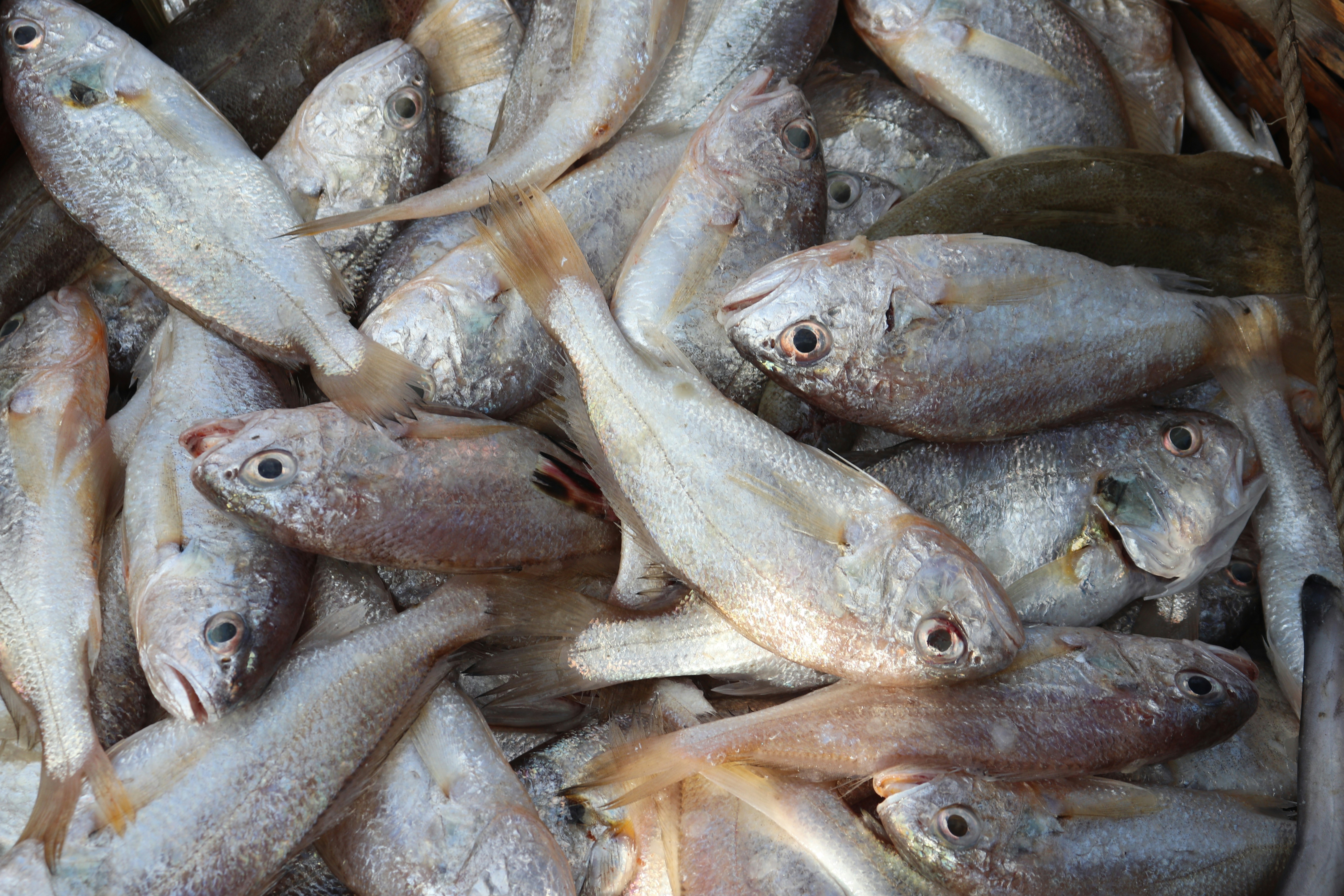 Photo by elee_334105