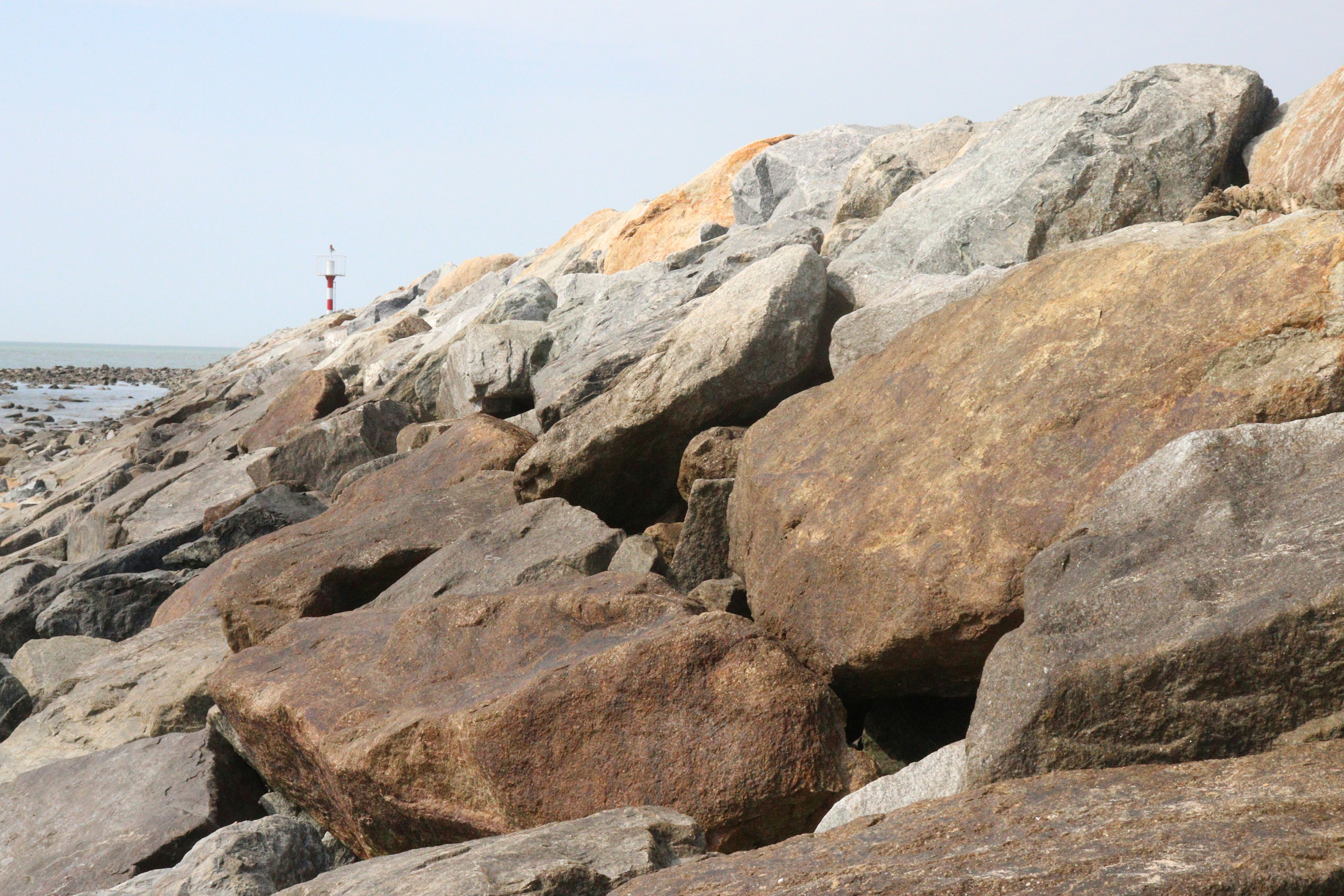 Photo by elee_334105