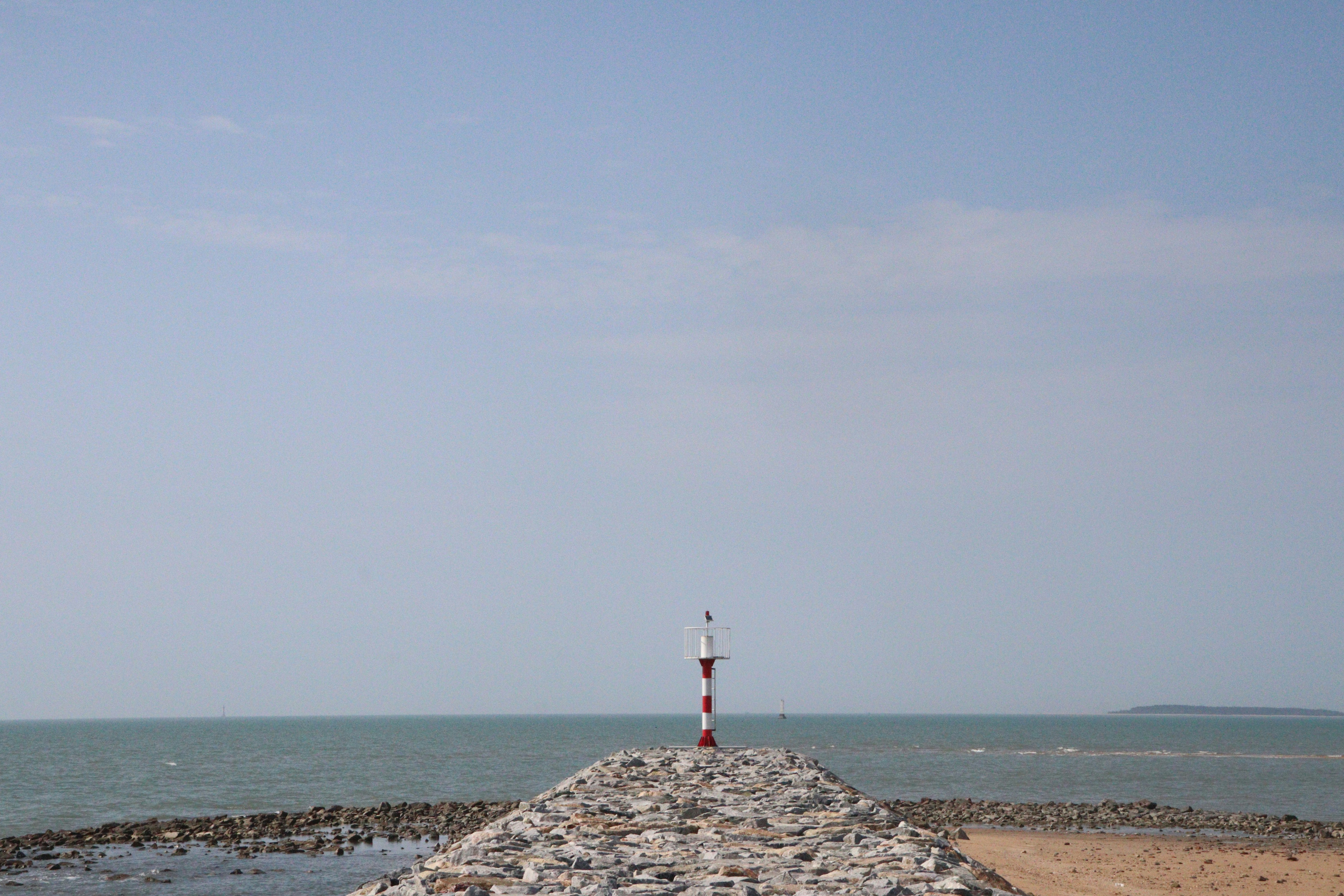 Photo by elee_334105