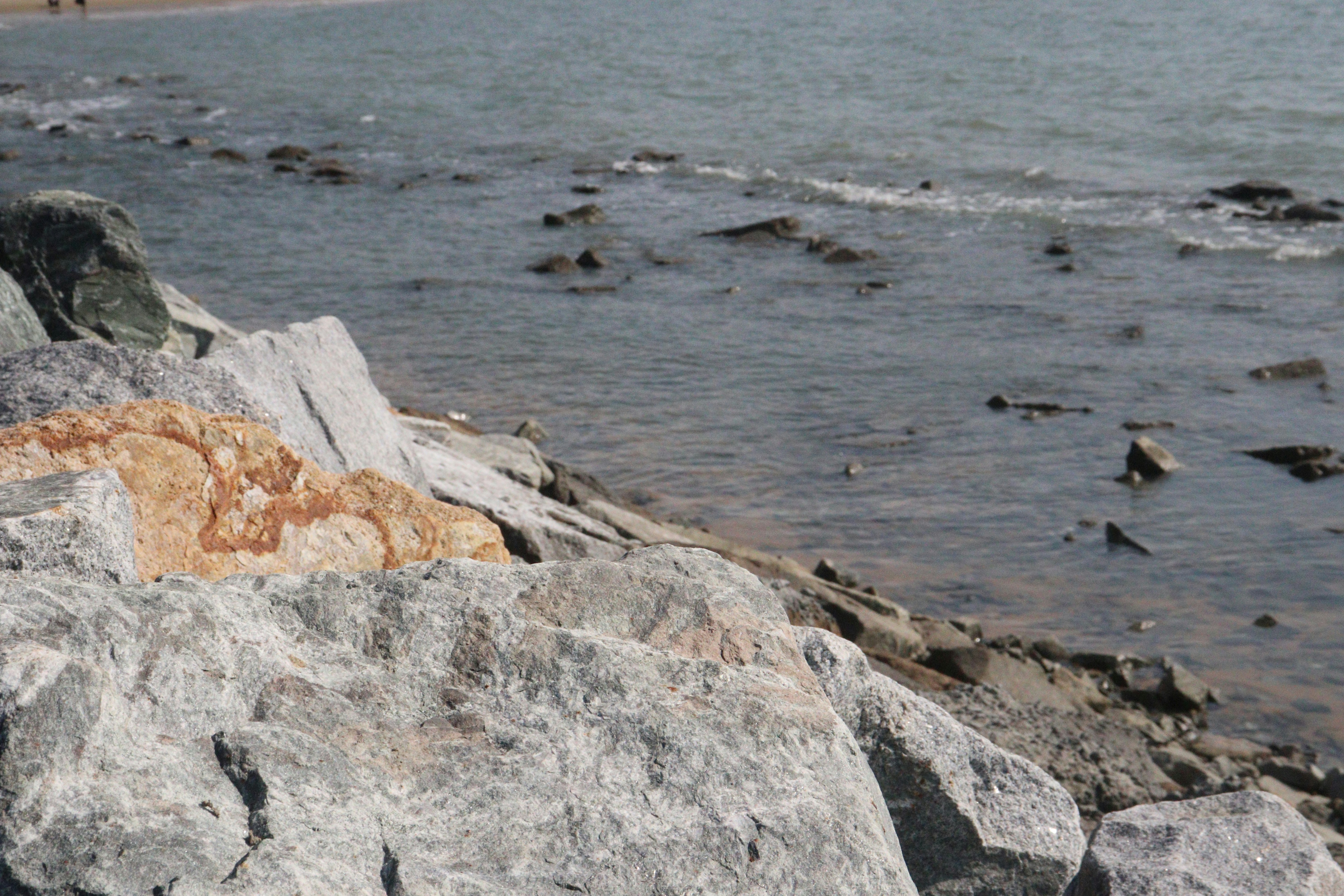 Photo by elee_334105