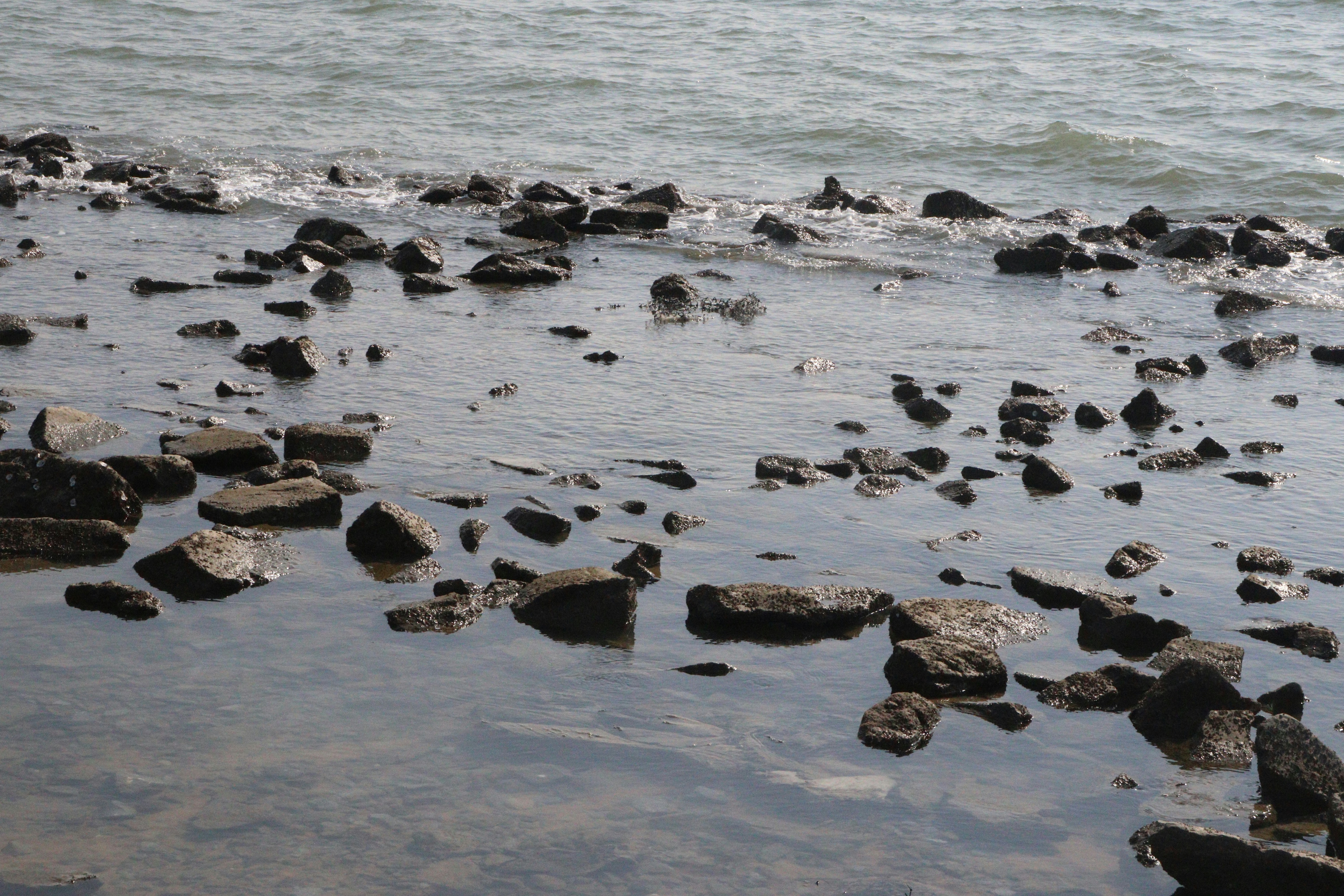 Photo by elee_334105