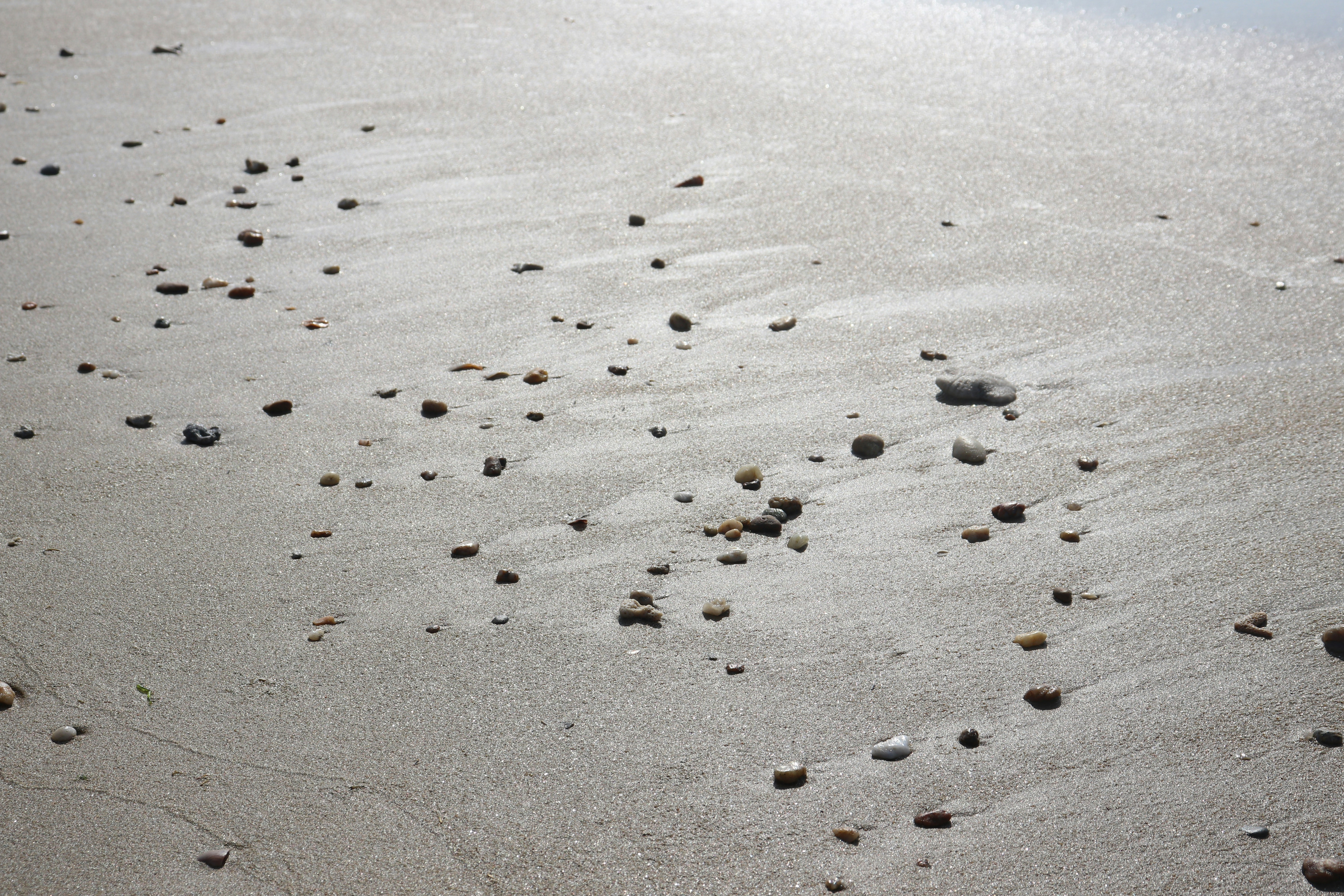 Photo by elee_334105