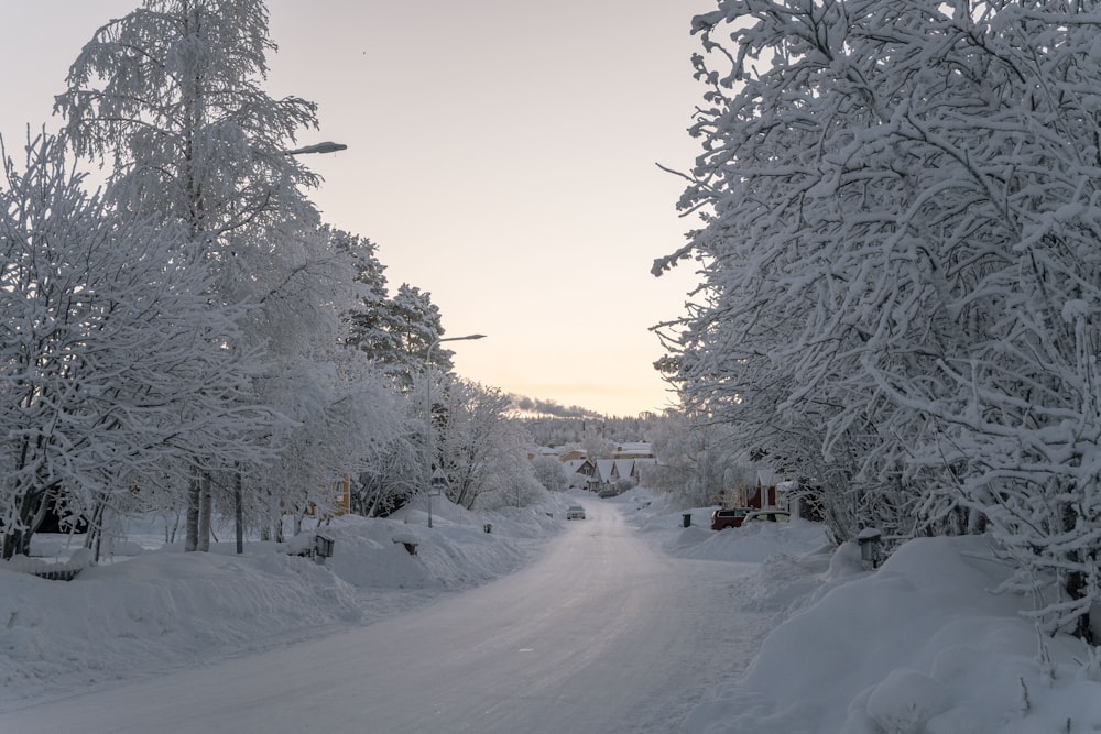 a snow covered road surrounded by snow covered trees