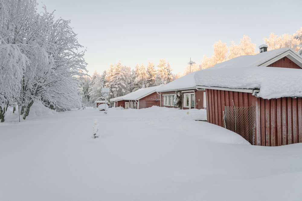 a house covered in snow next to a forest