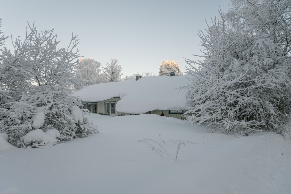 a house covered in snow next to trees