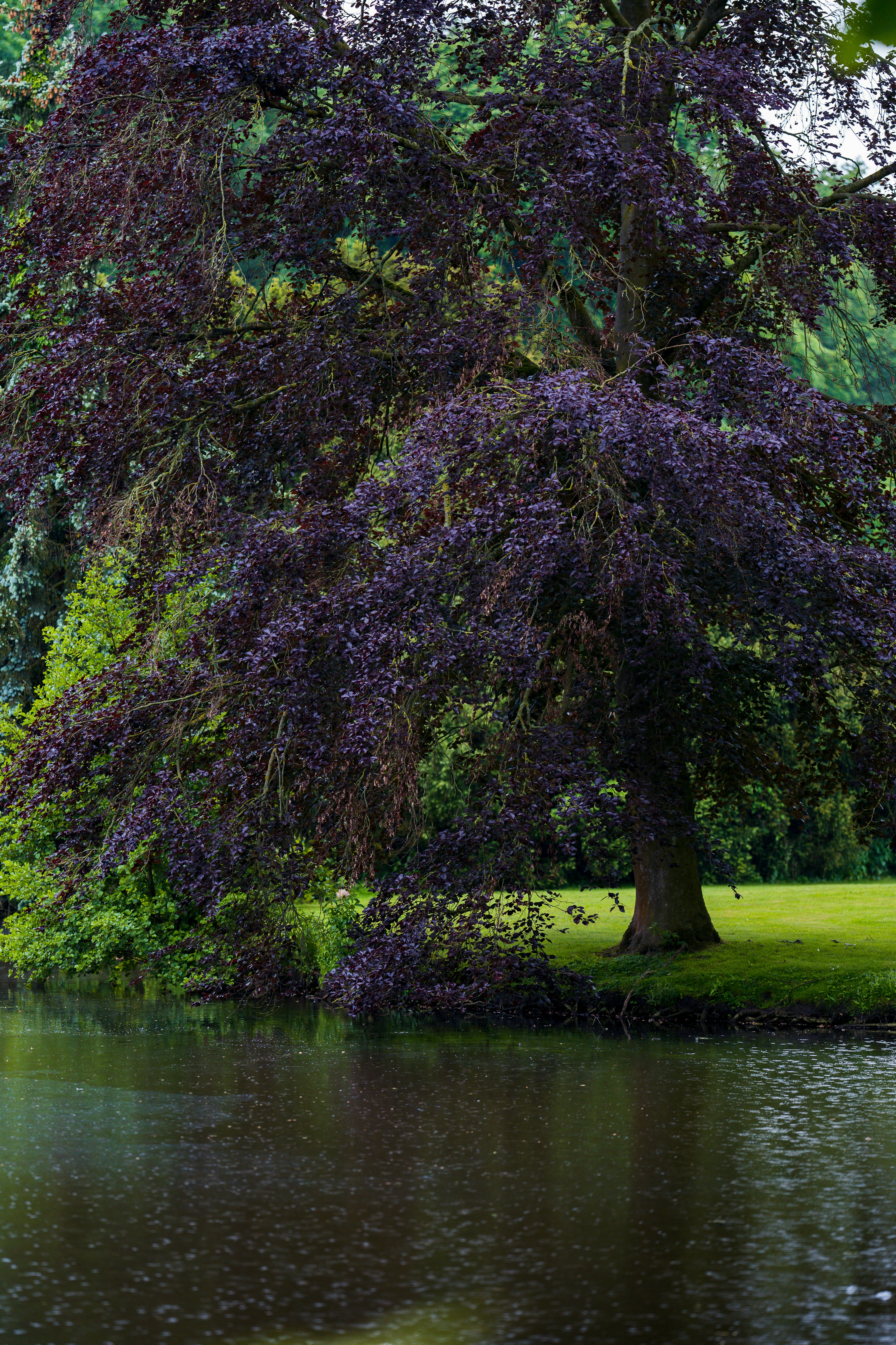 Photo by omarvellous14