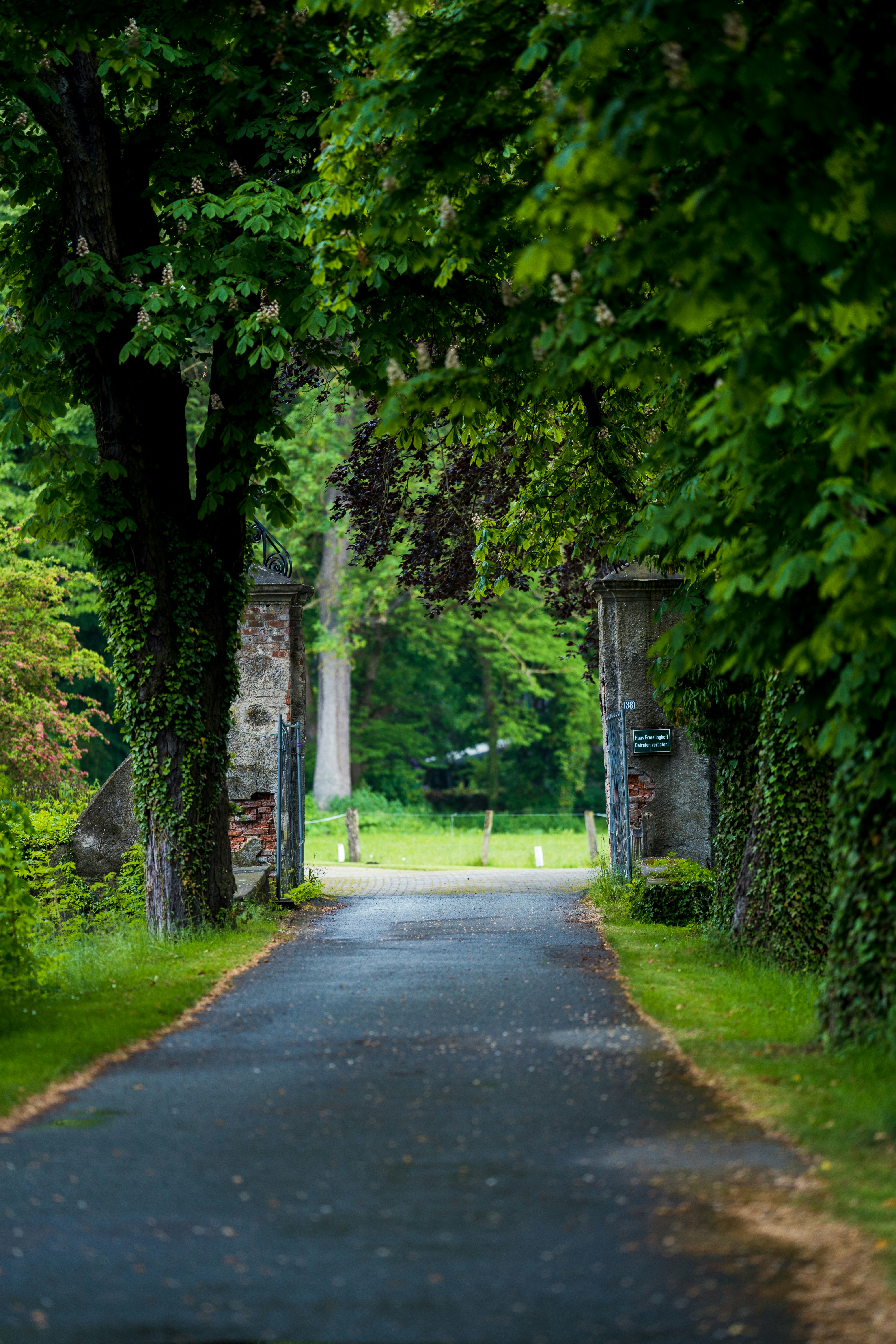 Photo by omarvellous14