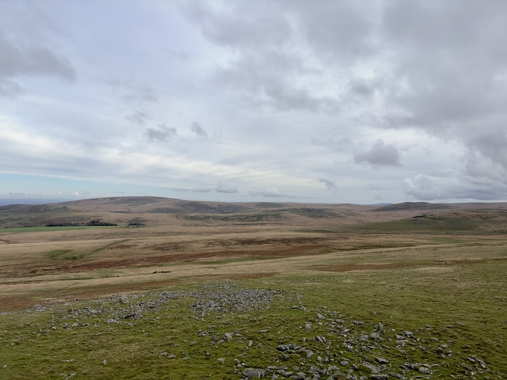 a grassy field with rocks and grass in the foreground