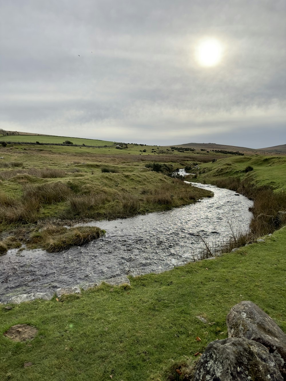 un río que corre a través de un exuberante campo verde