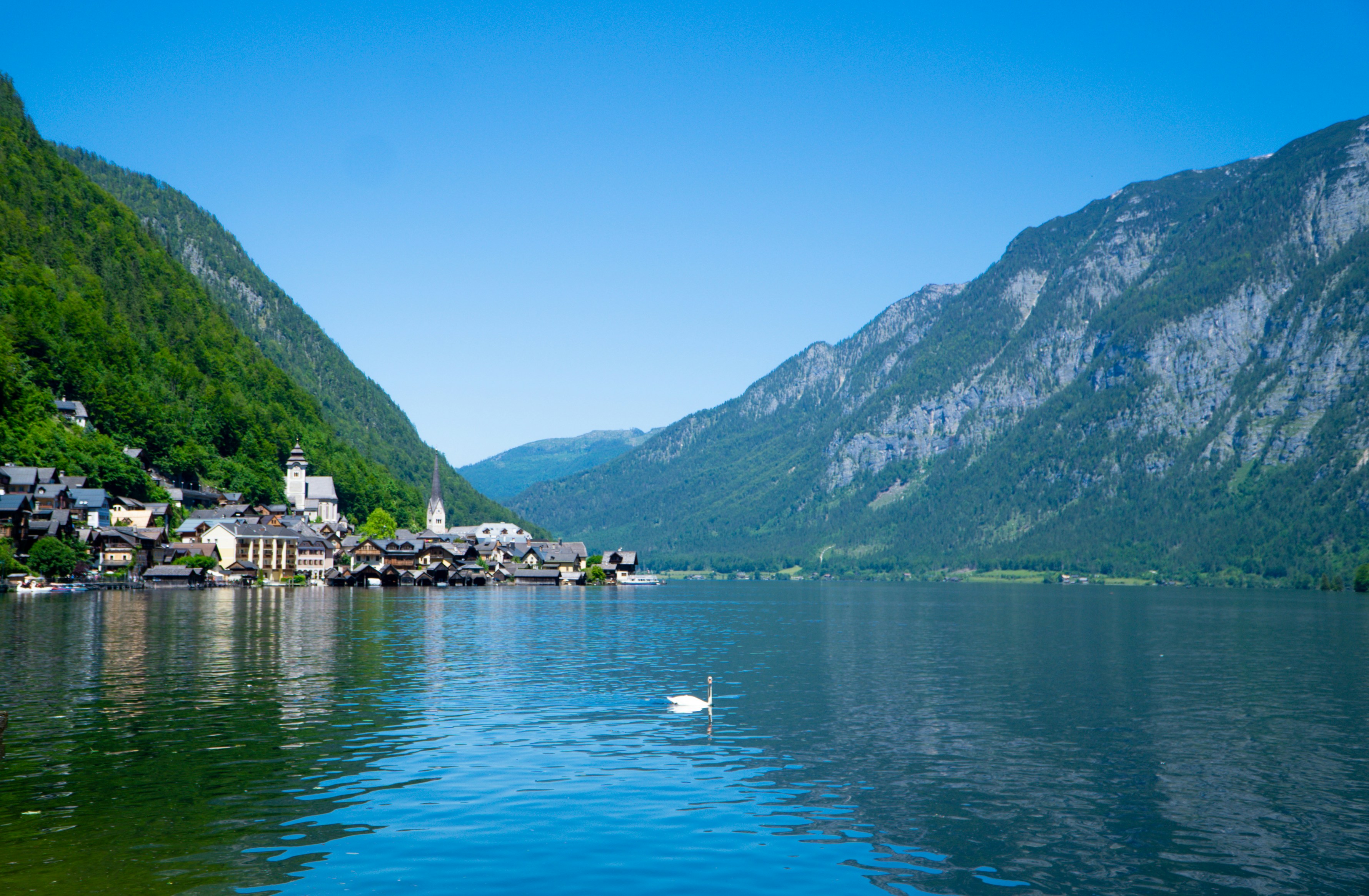 Photo by omarvellous14