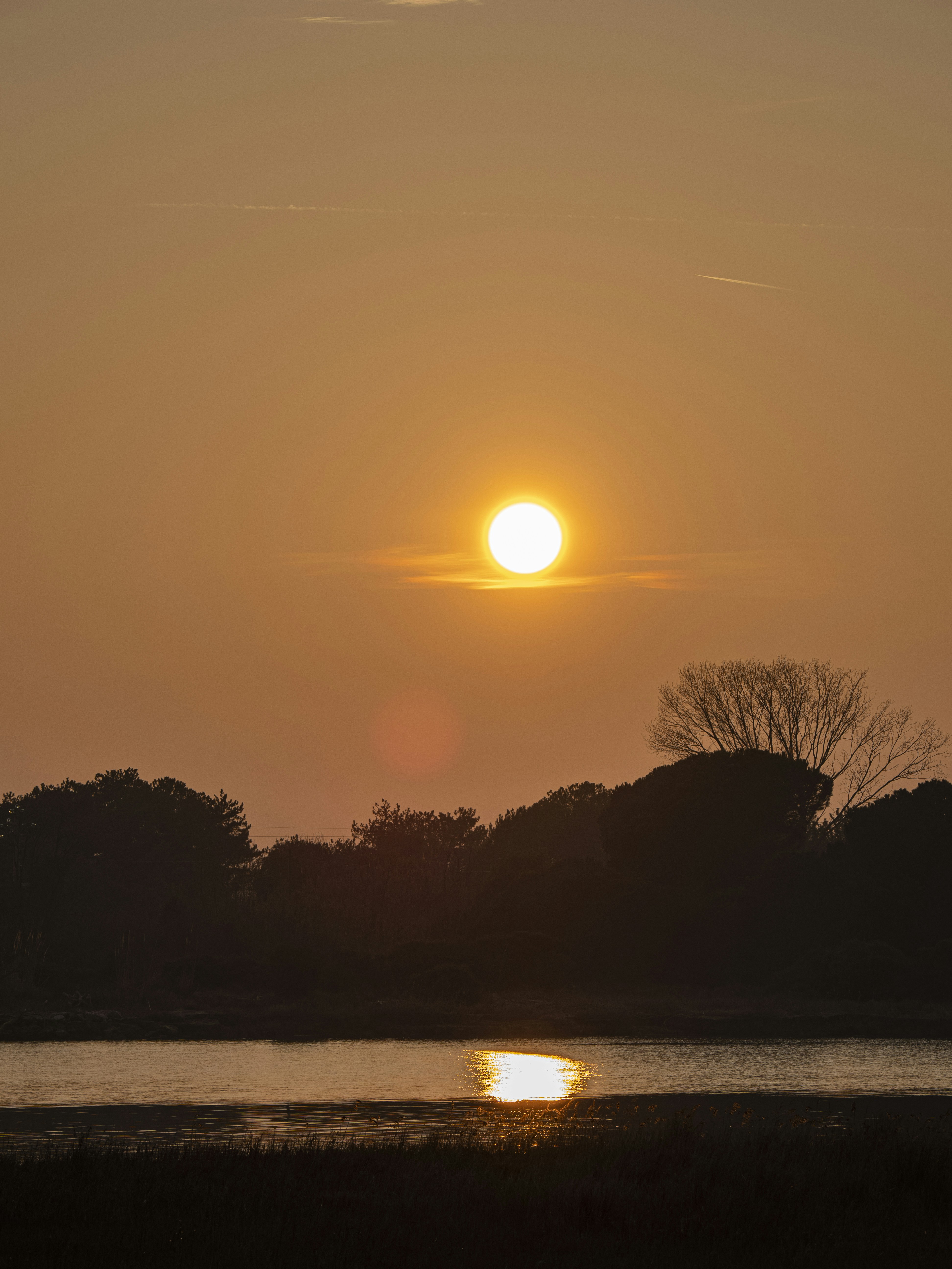 Photo by gopitri_prem