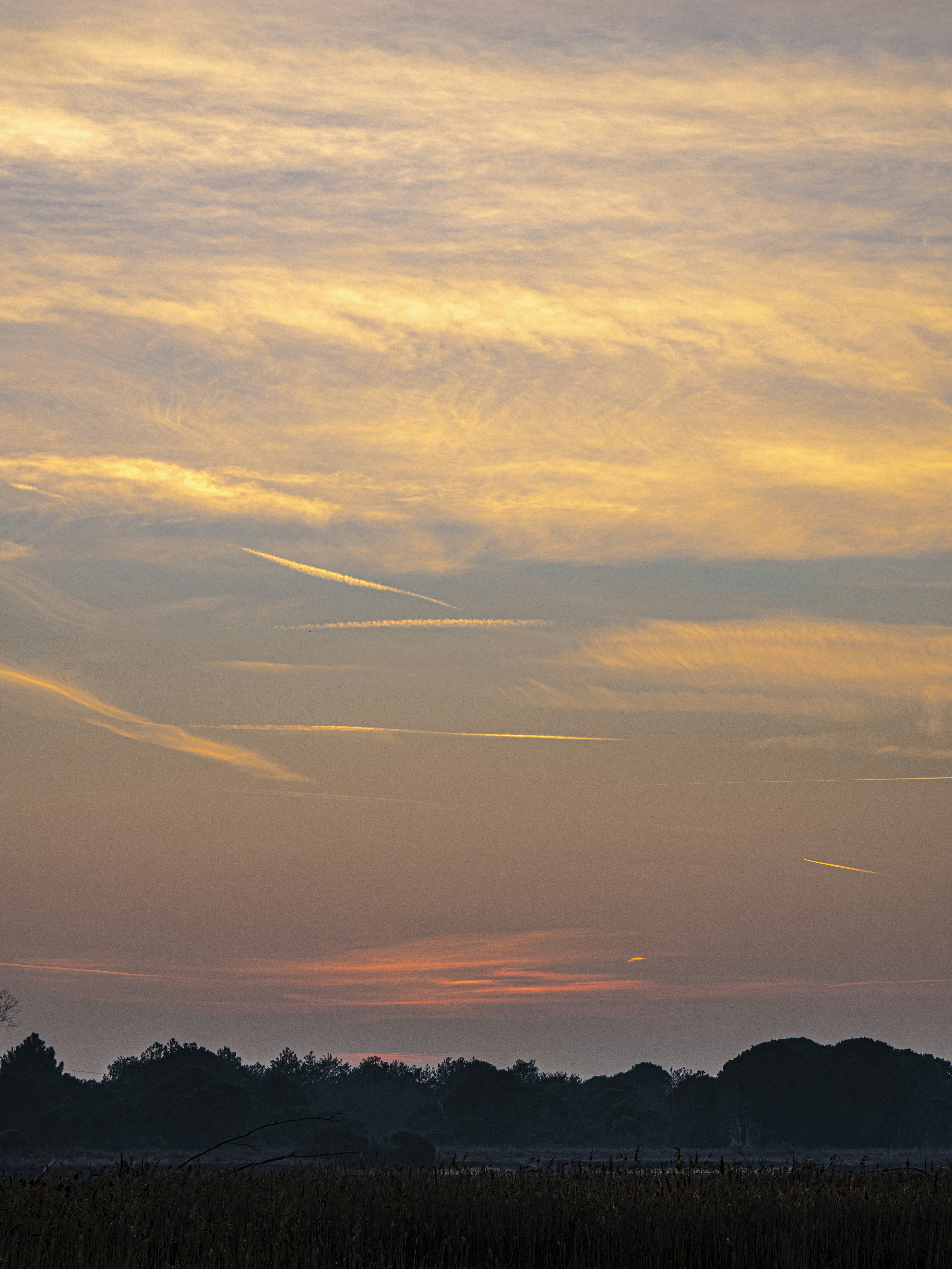 Photo by gopitri_prem