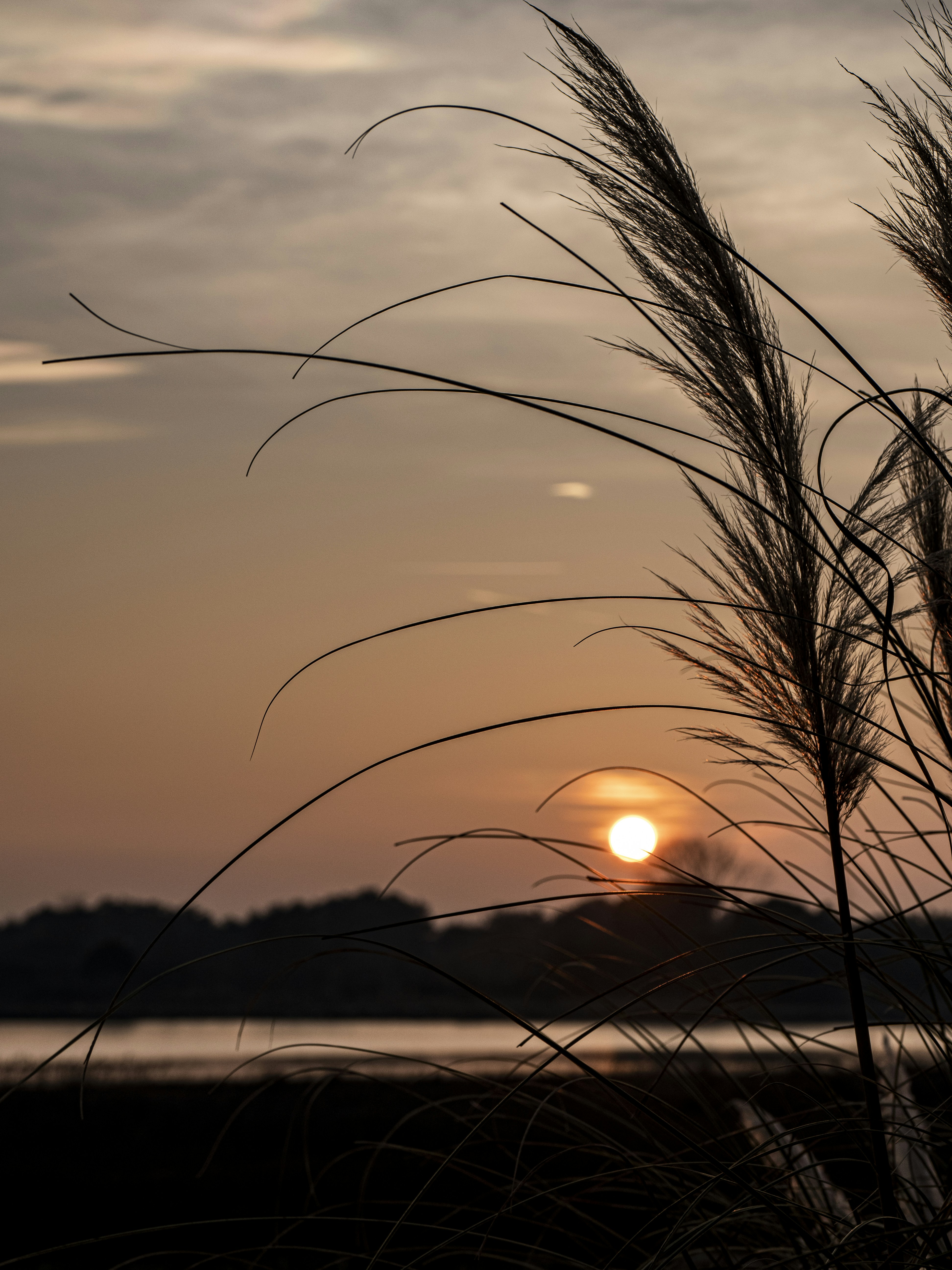 Photo by gopitri_prem