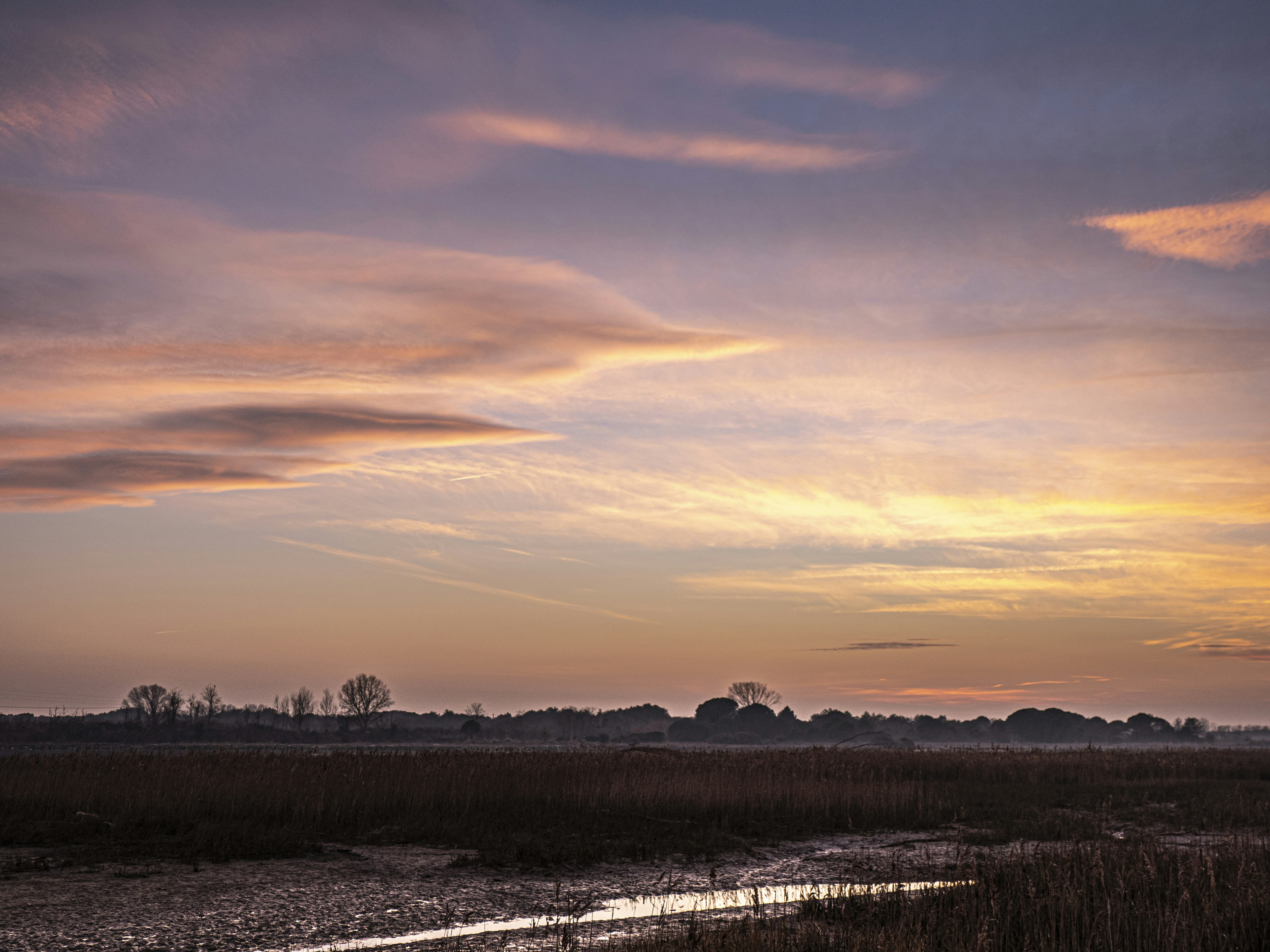 Photo by gopitri_prem