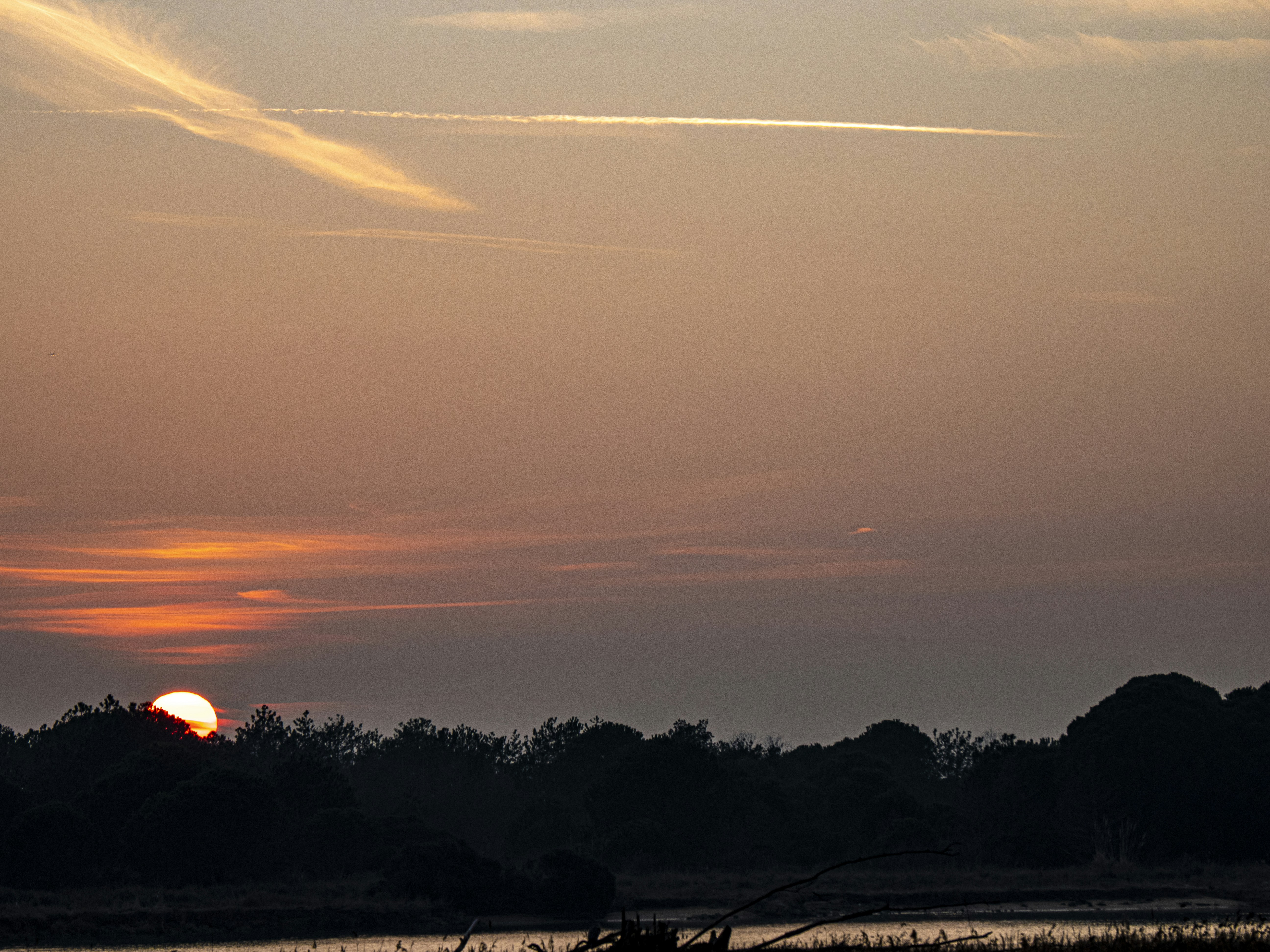 Photo by gopitri_prem