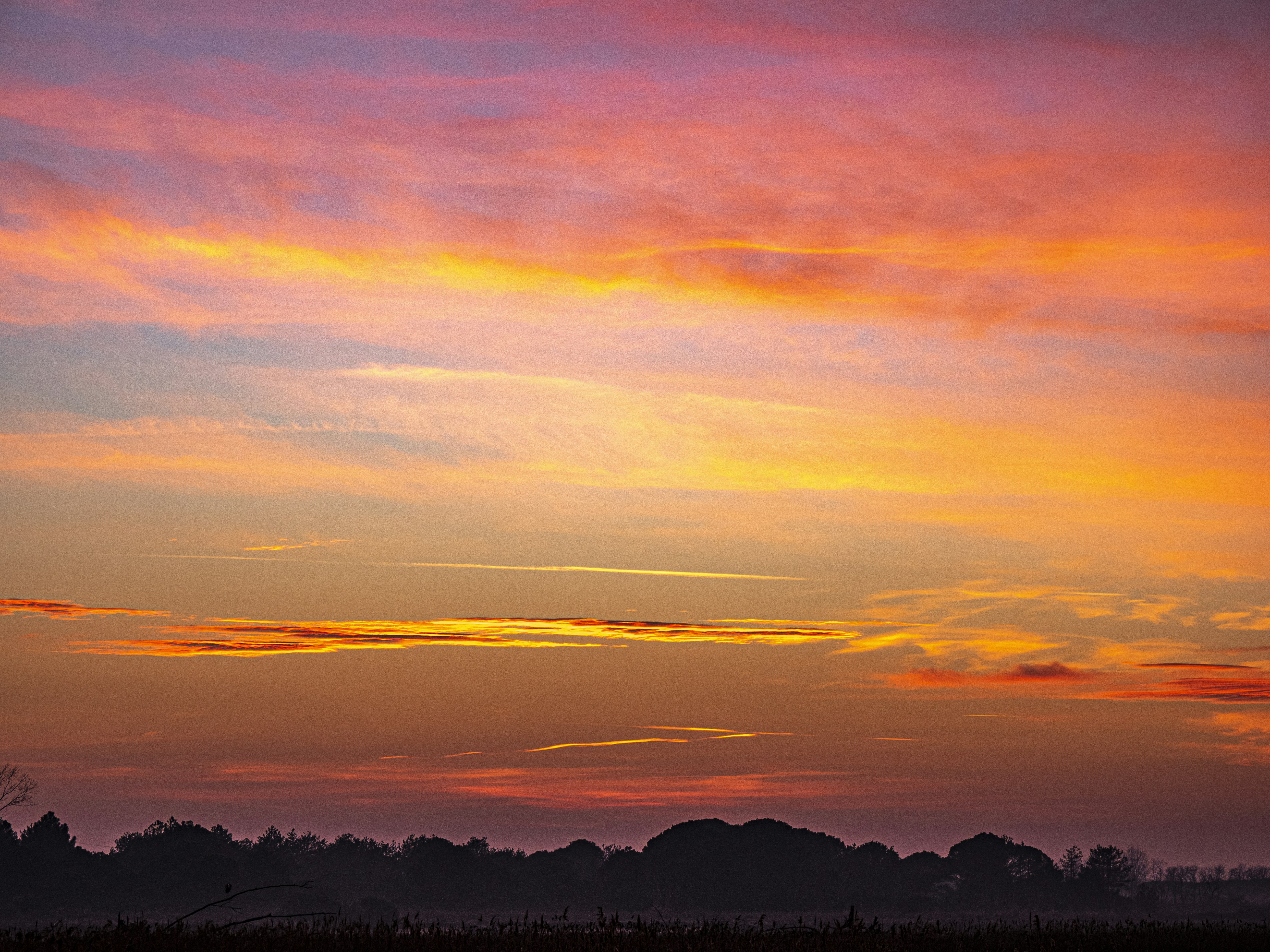 Photo by gopitri_prem